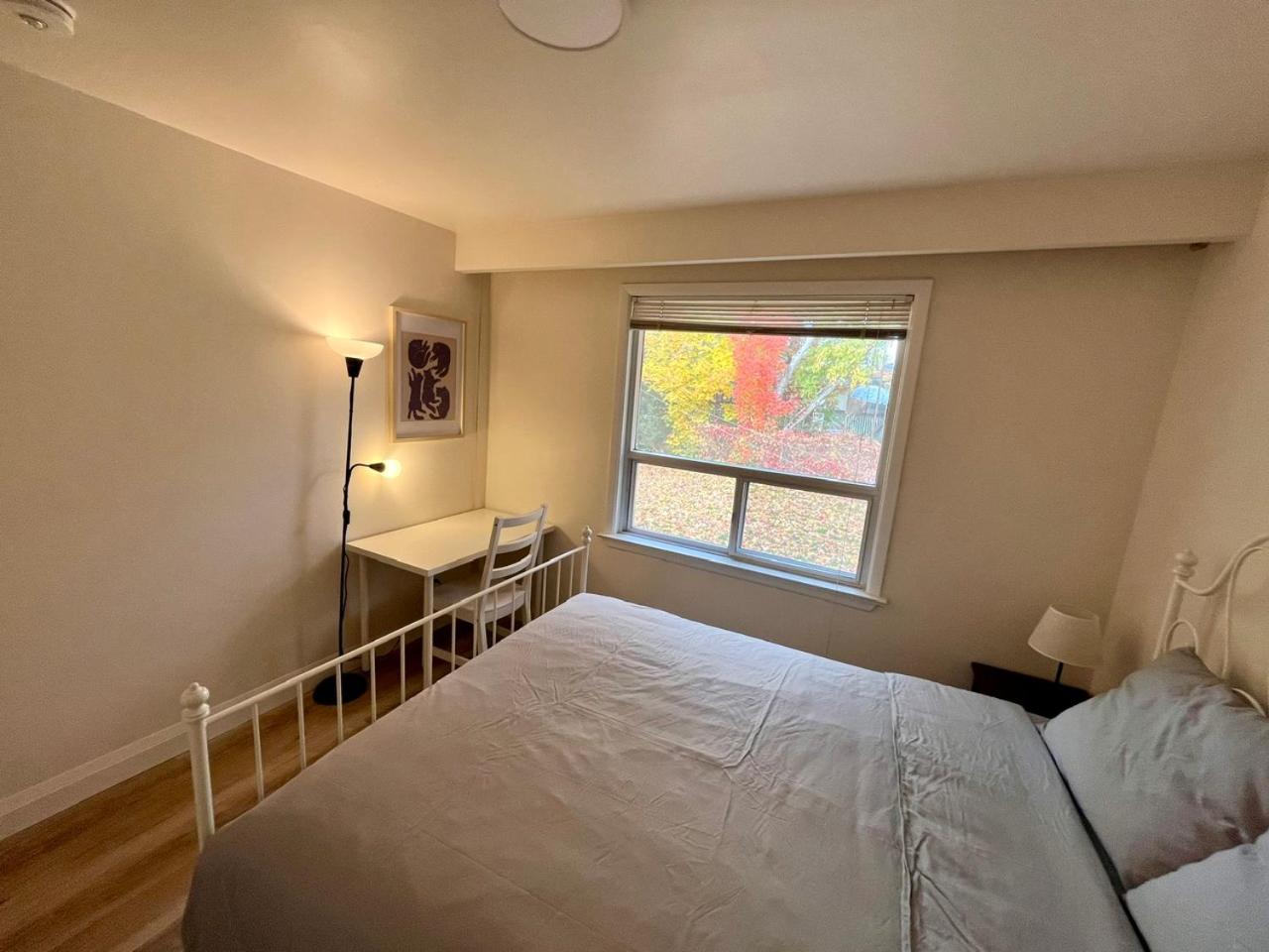 Entire main floor of a newly renovated house in Toronto