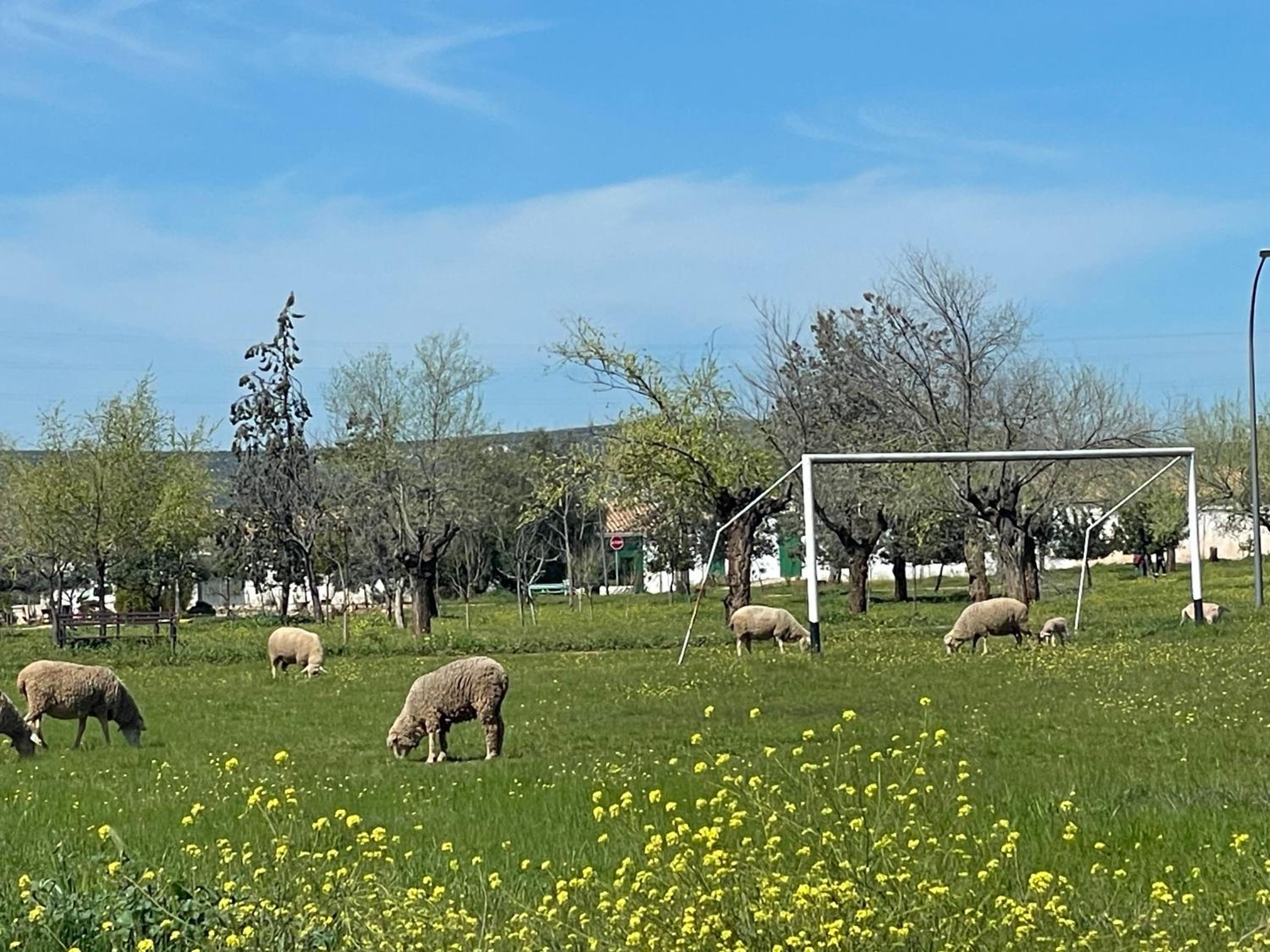 Casa Rural Miraelrio