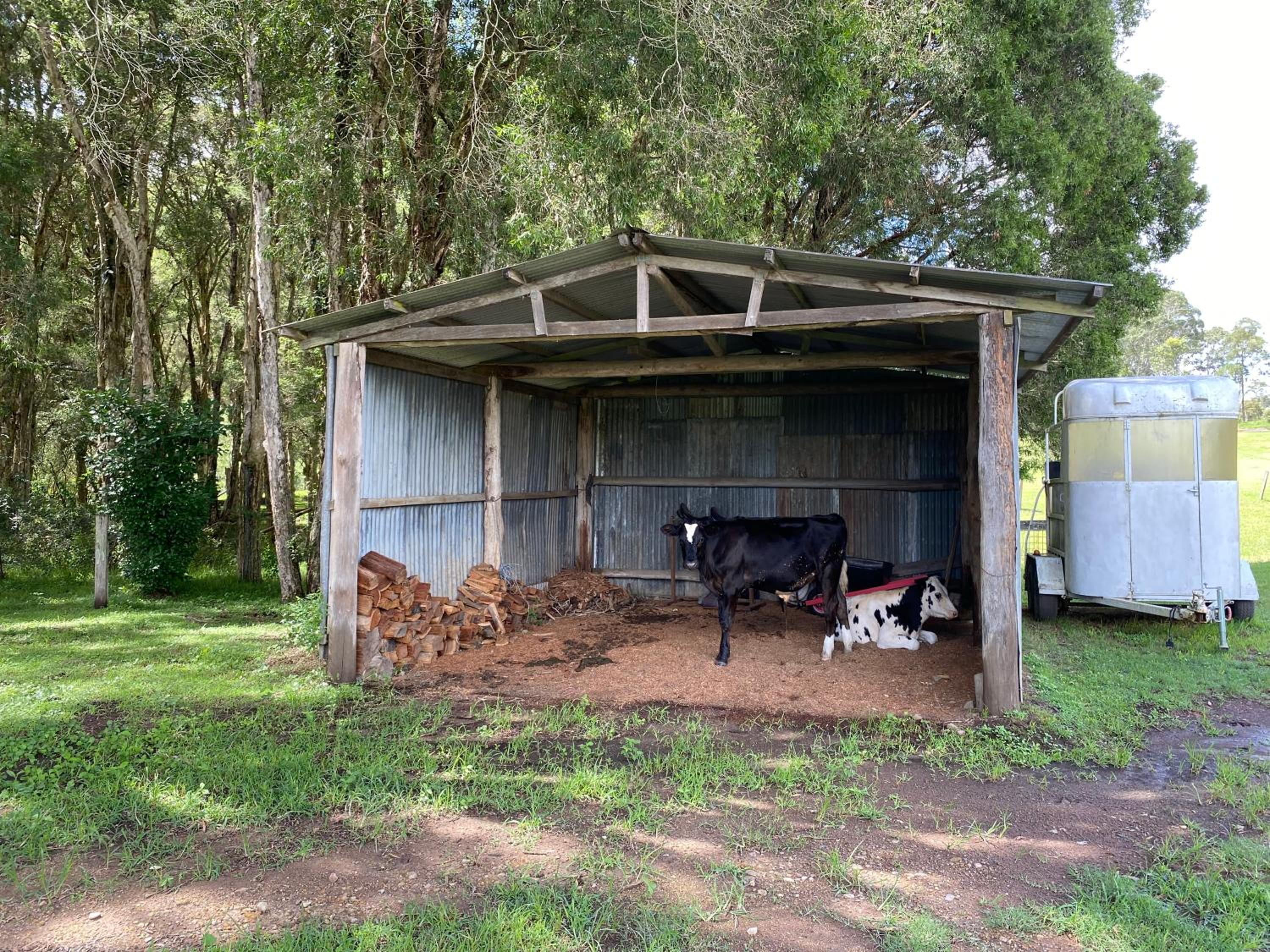 Little Farmhouse Near The Dairy