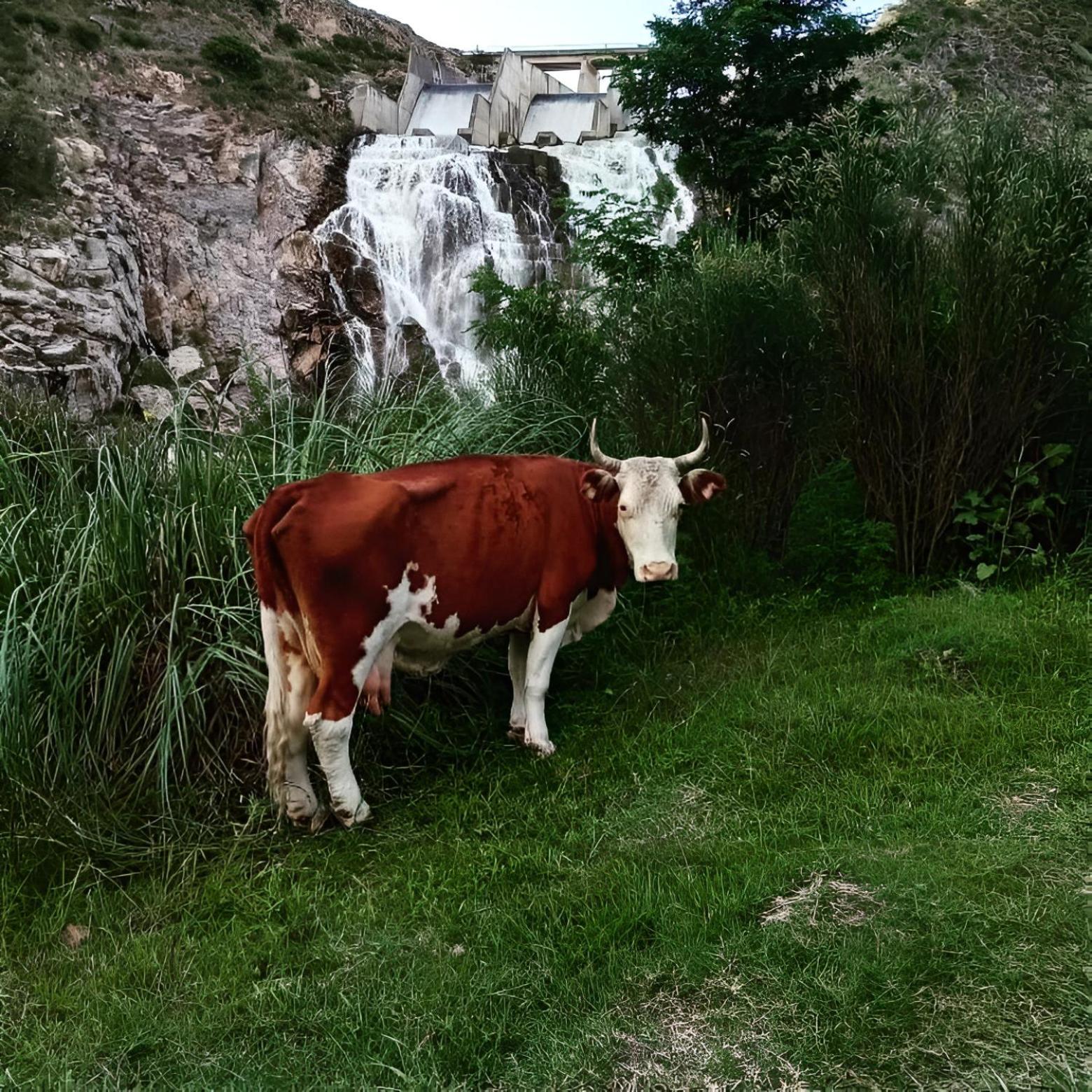Complejo Salamanca - Cabaña La Puntana