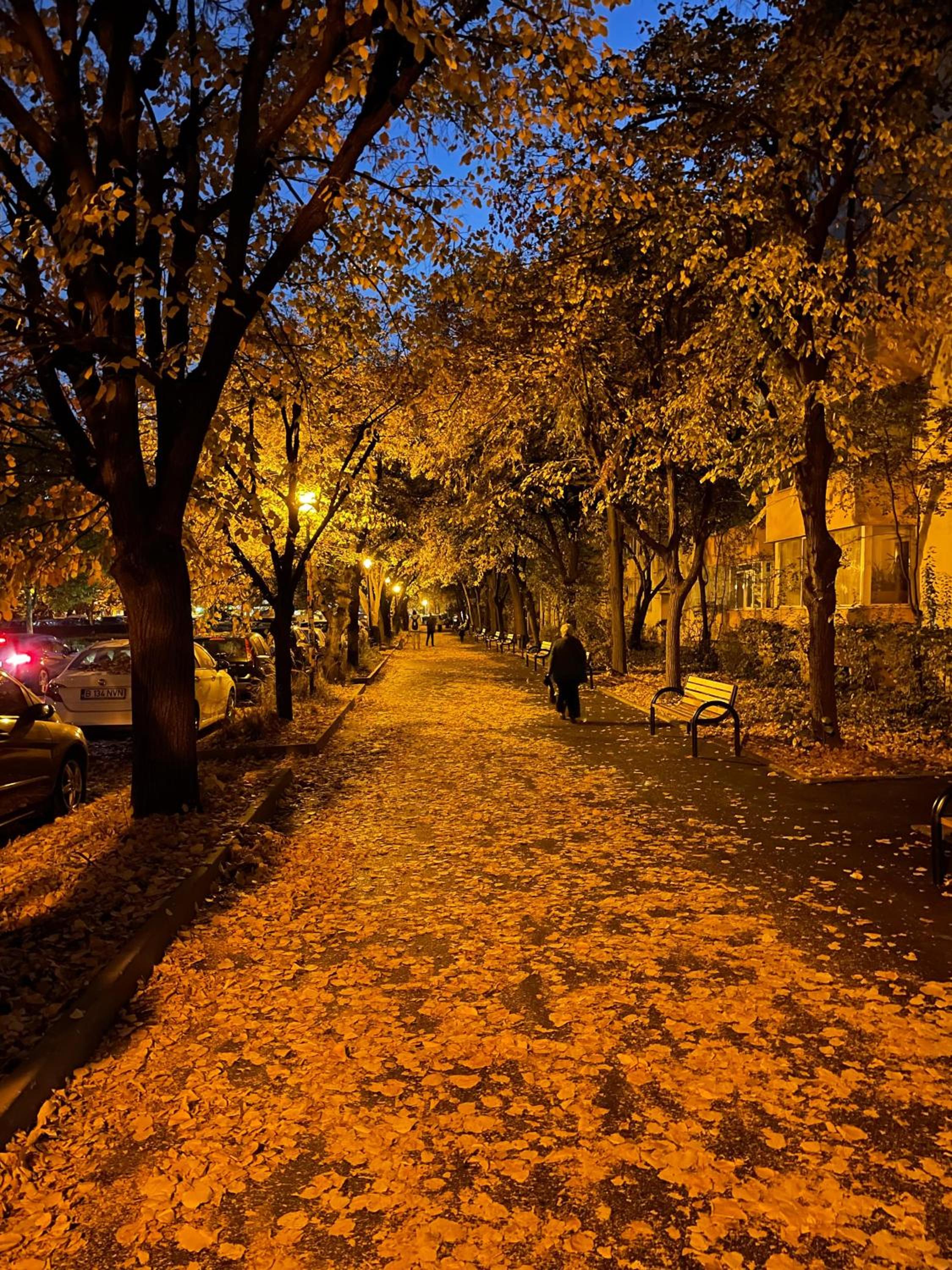Photo 50