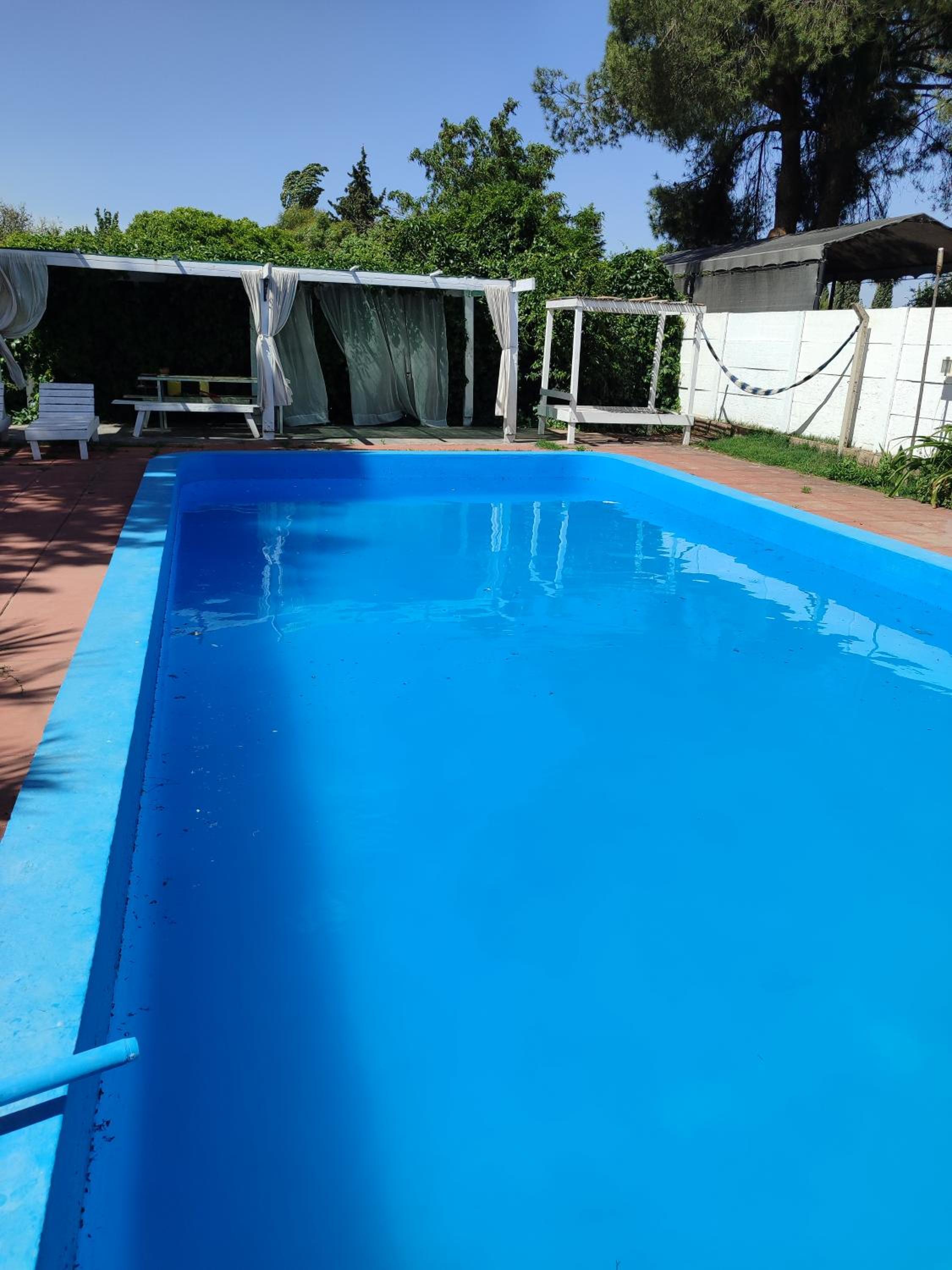 Sol del Bosque