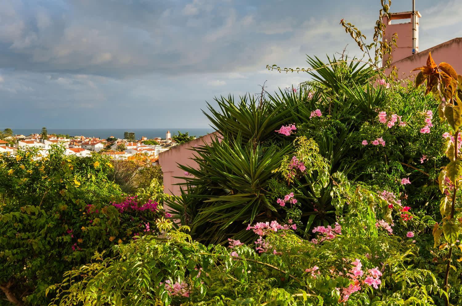 Estoril Villa Serena