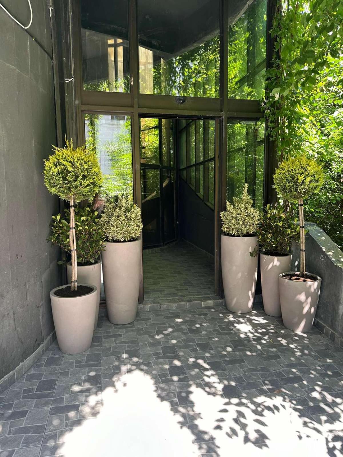 Avangarda Suites