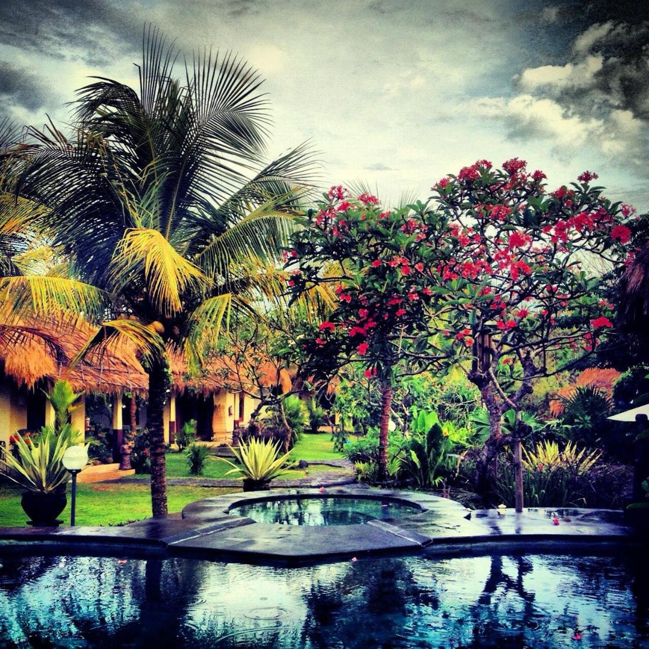 Lullaby Bungalows
