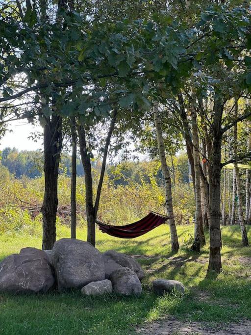 Quiet and cozy place near forest