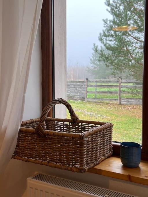 Quiet and cozy place near forest