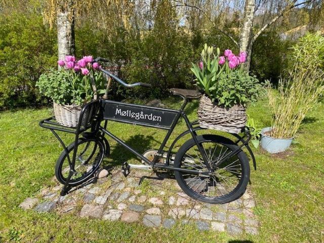 Beautiful Vacation Home In The Town Of Ebeltoft