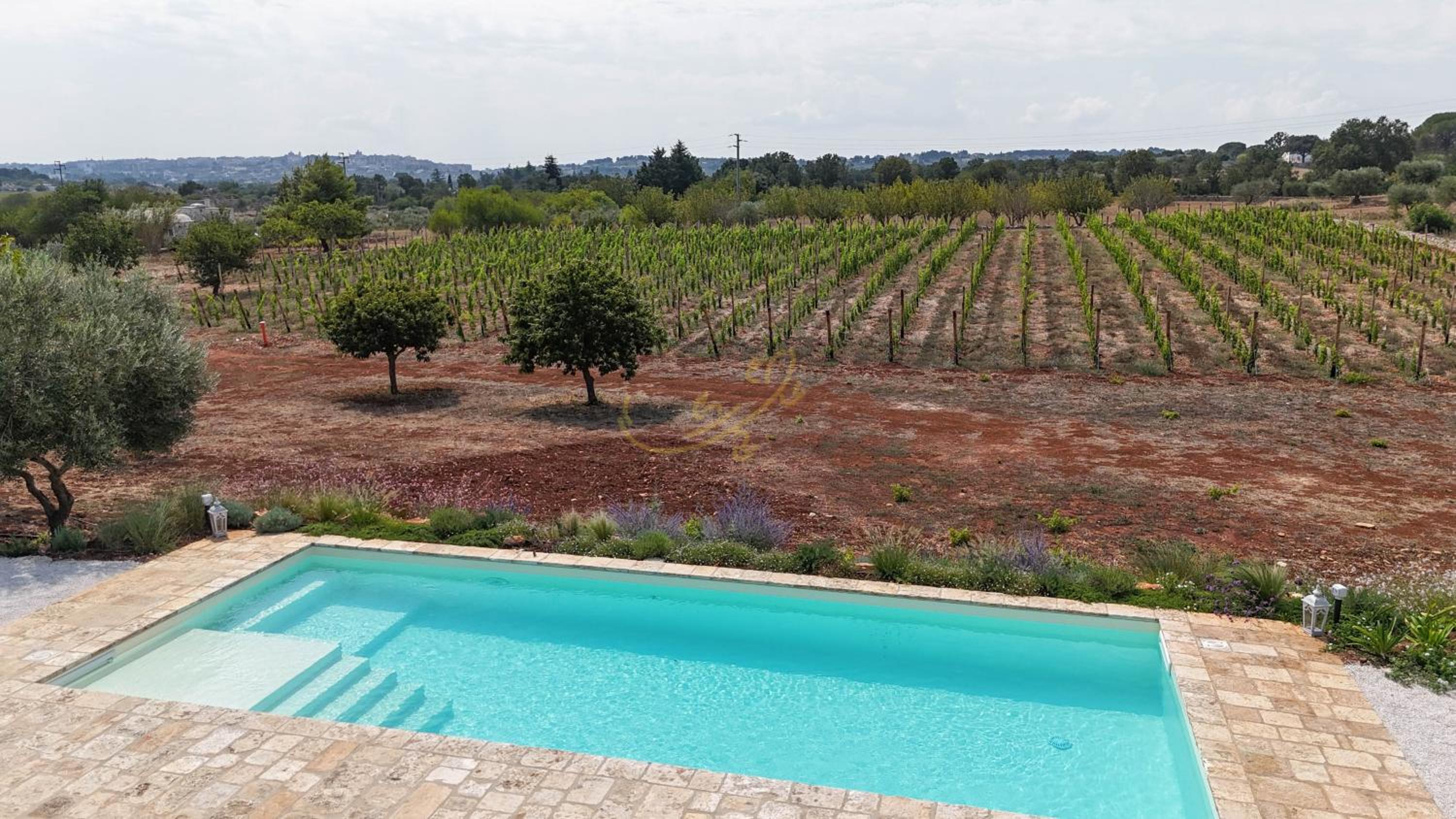 TD Trulli Perla Bianca Trulli w Pool Vineyards view 5