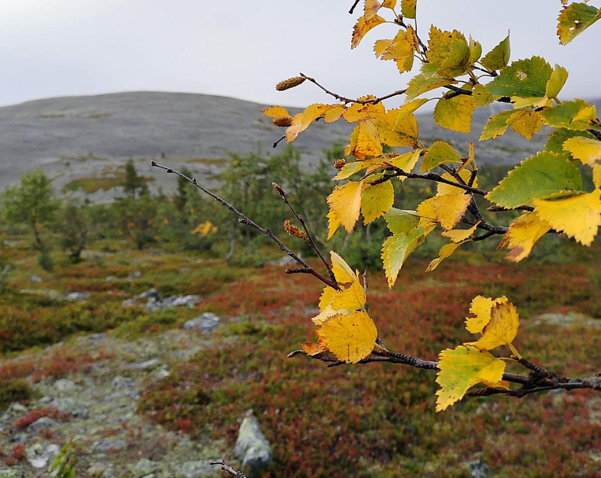 Hotel Seita - Property Image 1