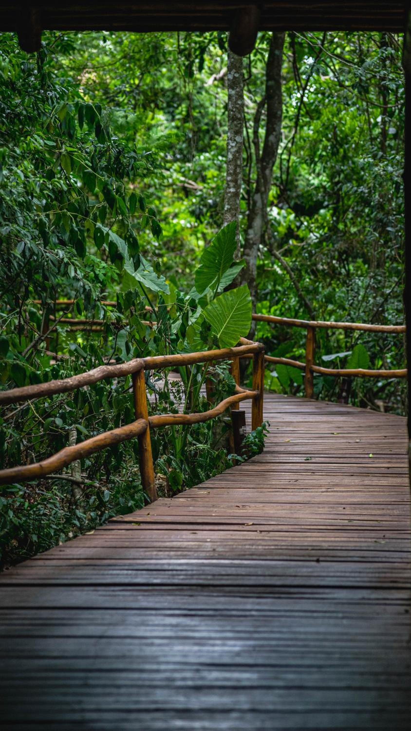 La Aldea De La Selva Lodge