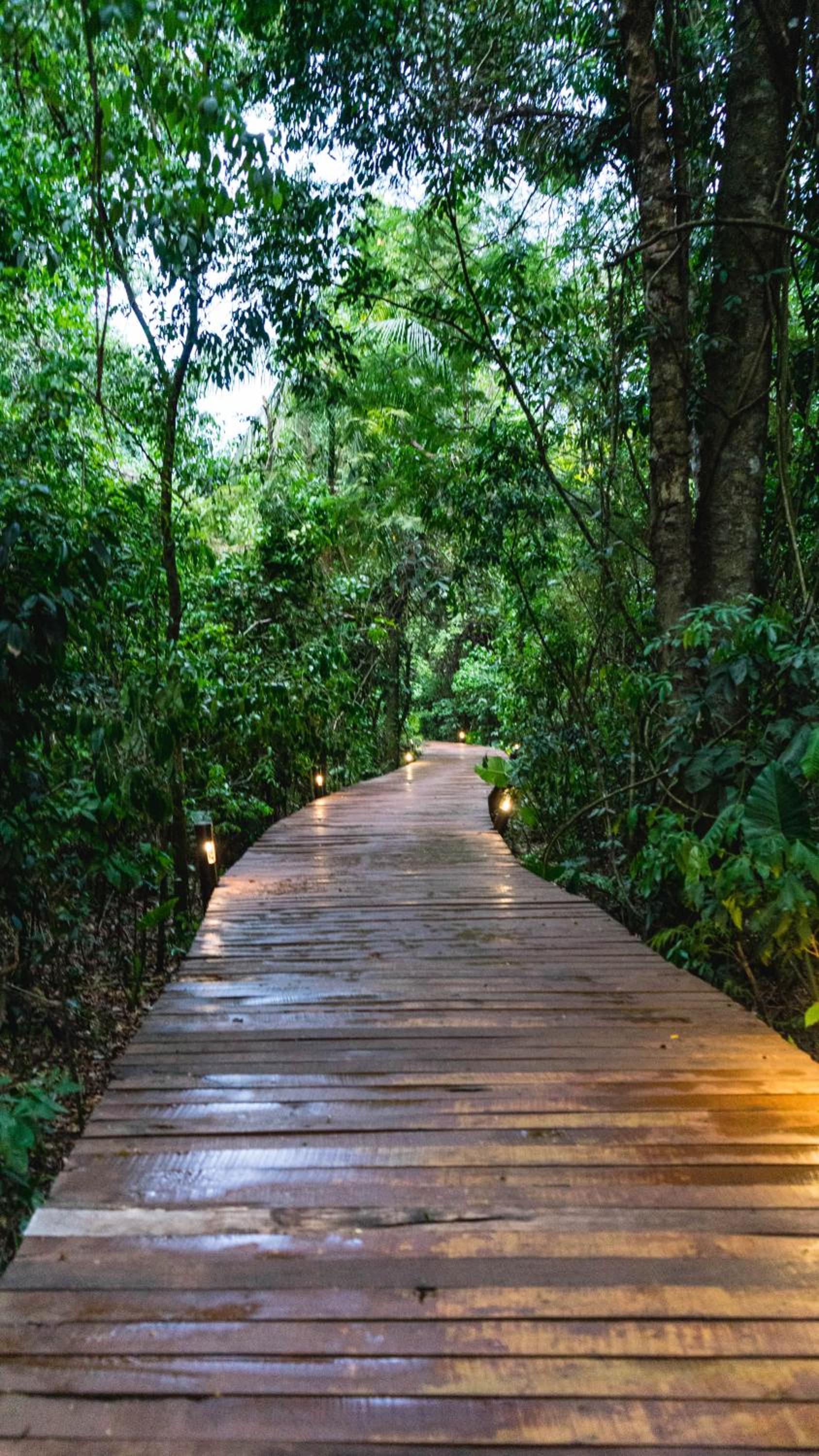 La Aldea De La Selva Lodge