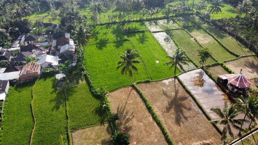 Alfarizi homestay