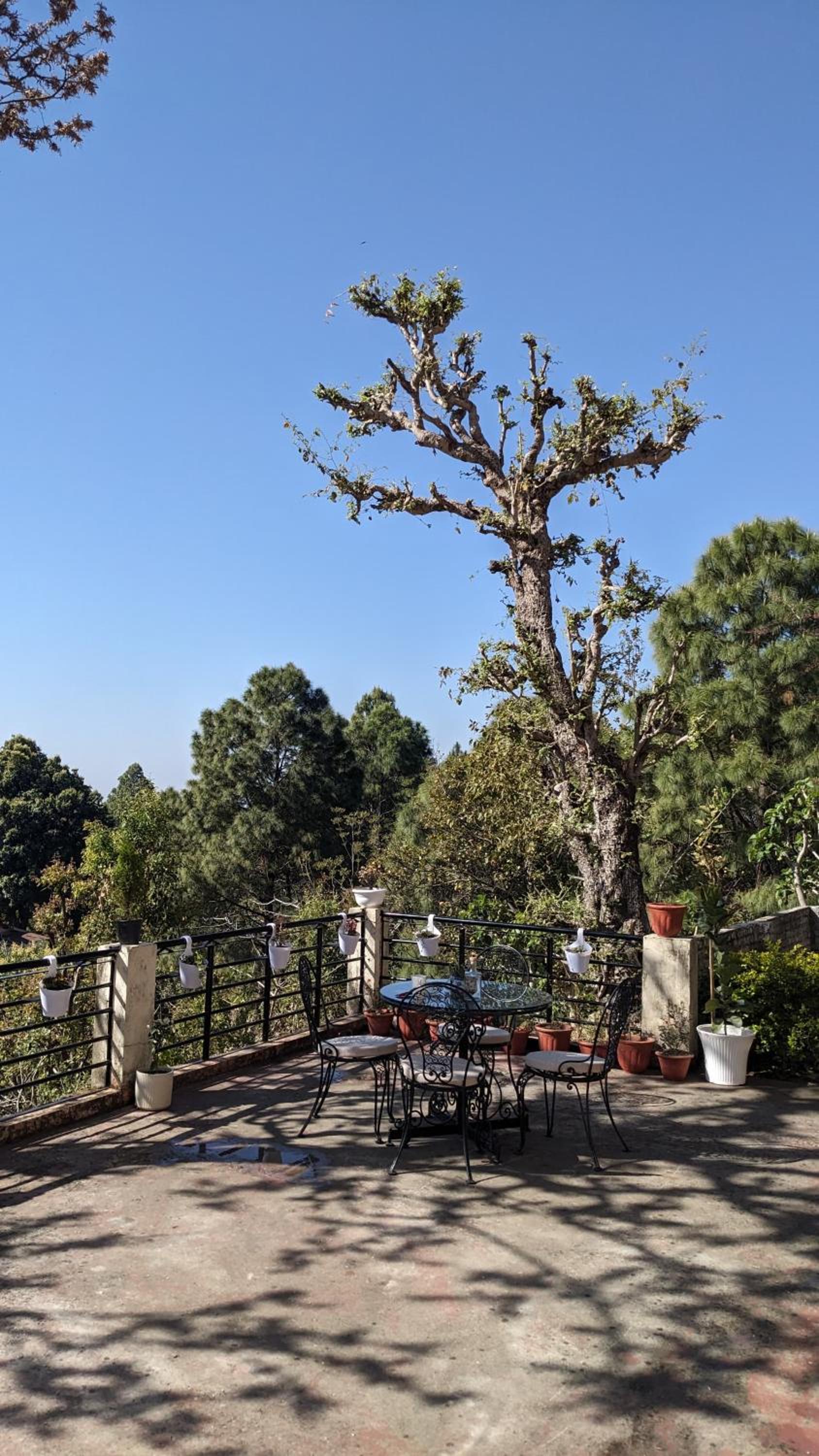 balance & terrace