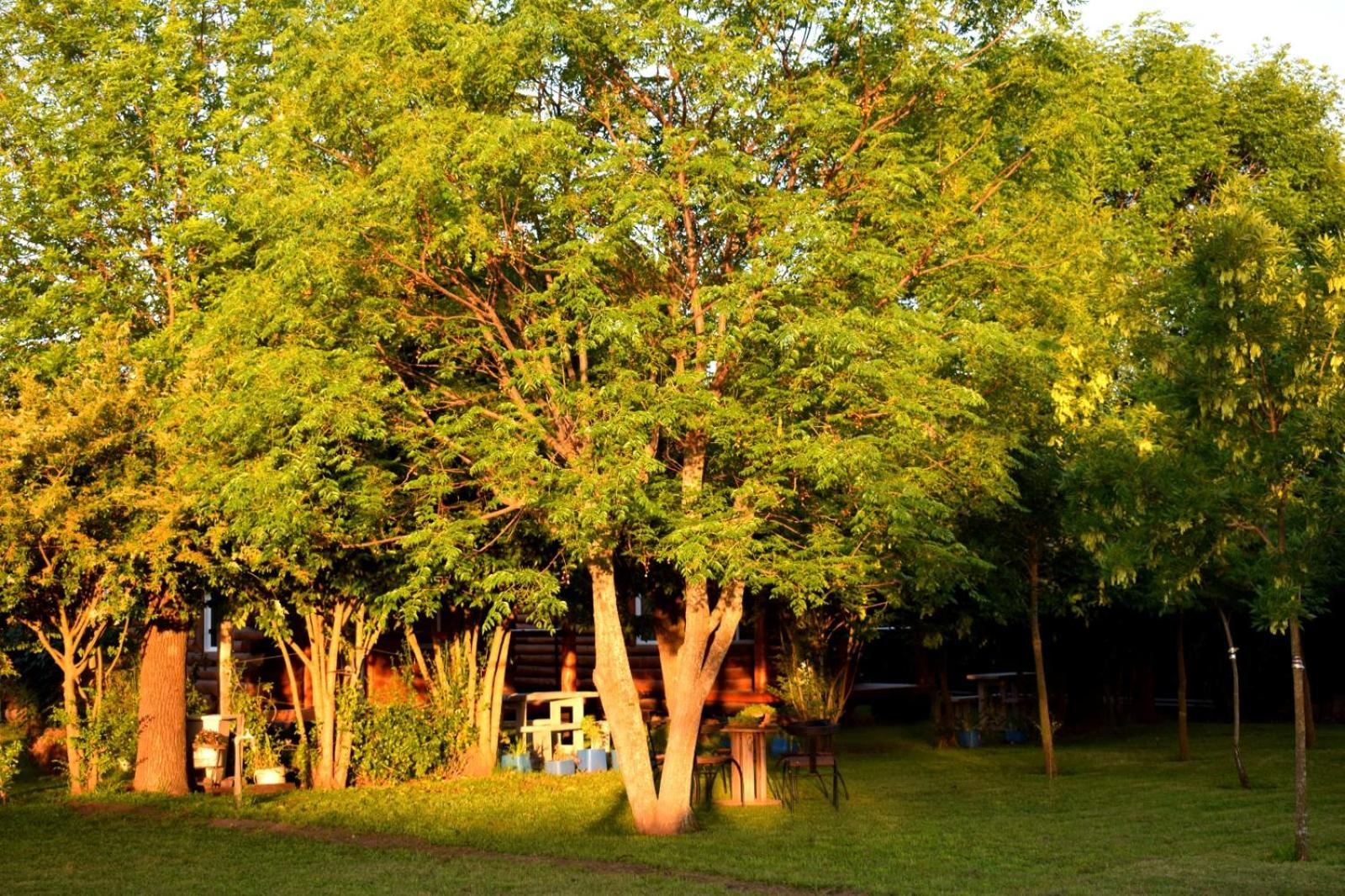 Cabañas lo de Su