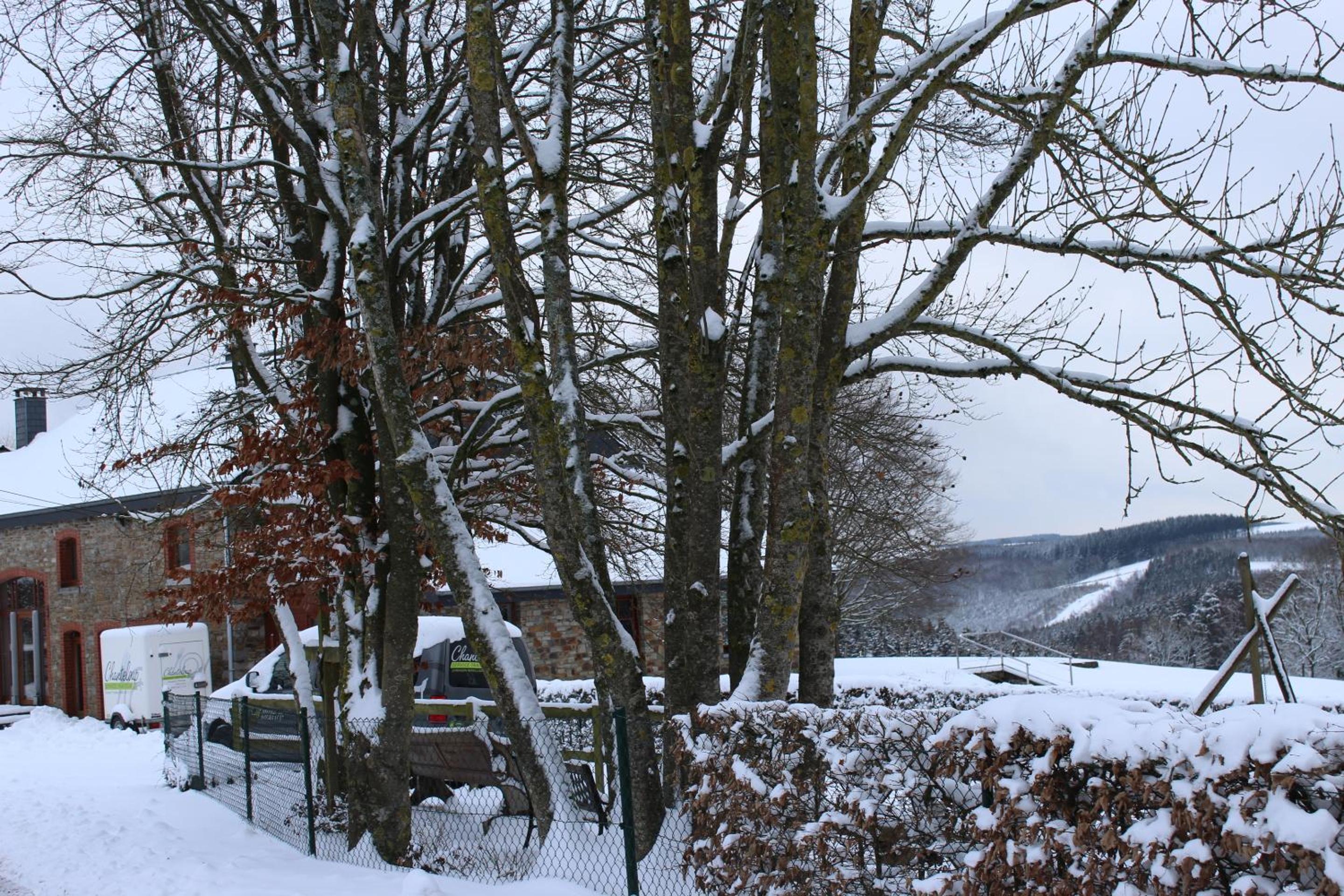 Chanteloup, Maison d'hôtes - Halleux