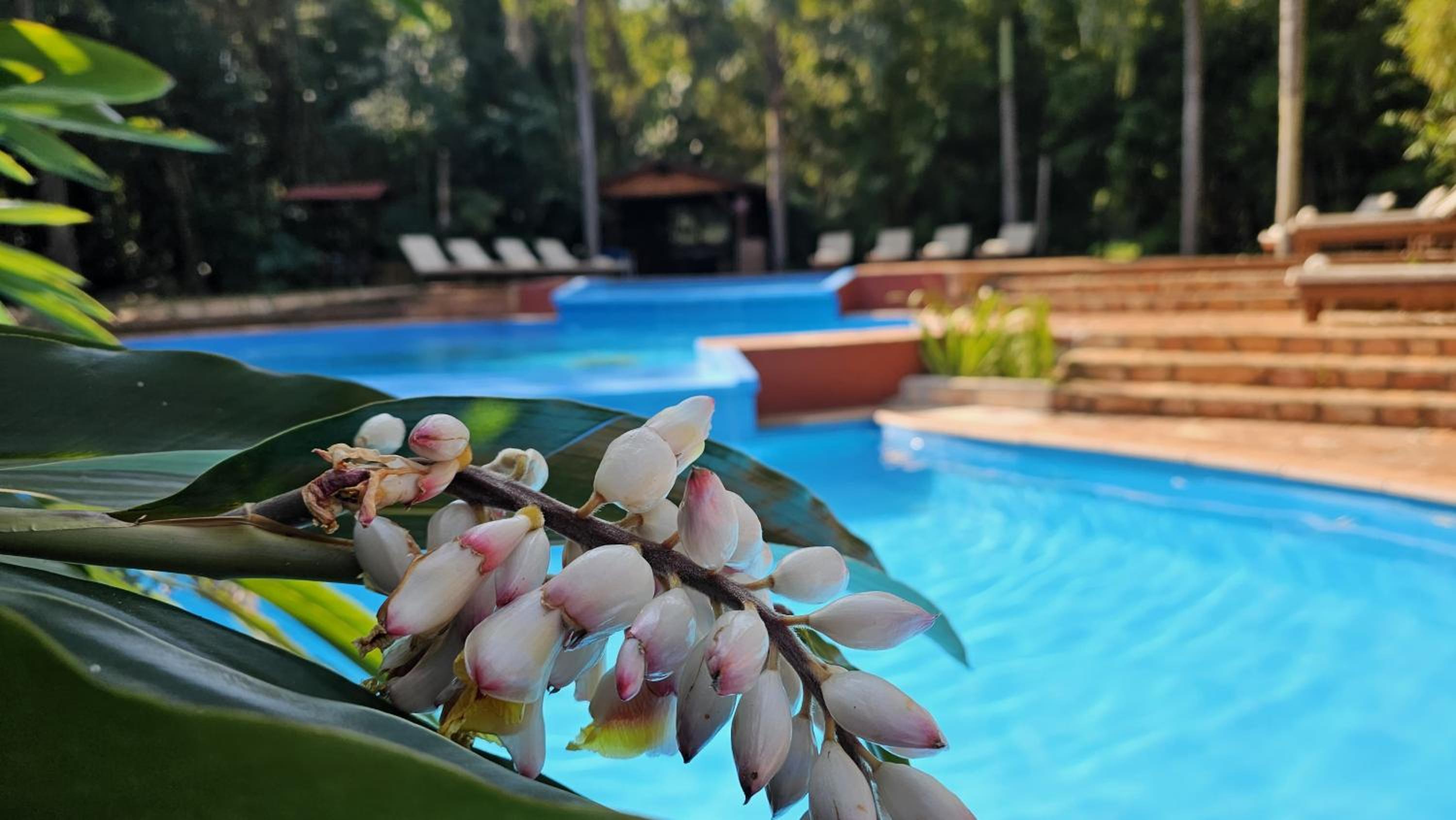La Aldea De La Selva Lodge