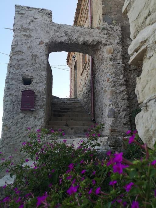 Photo 47