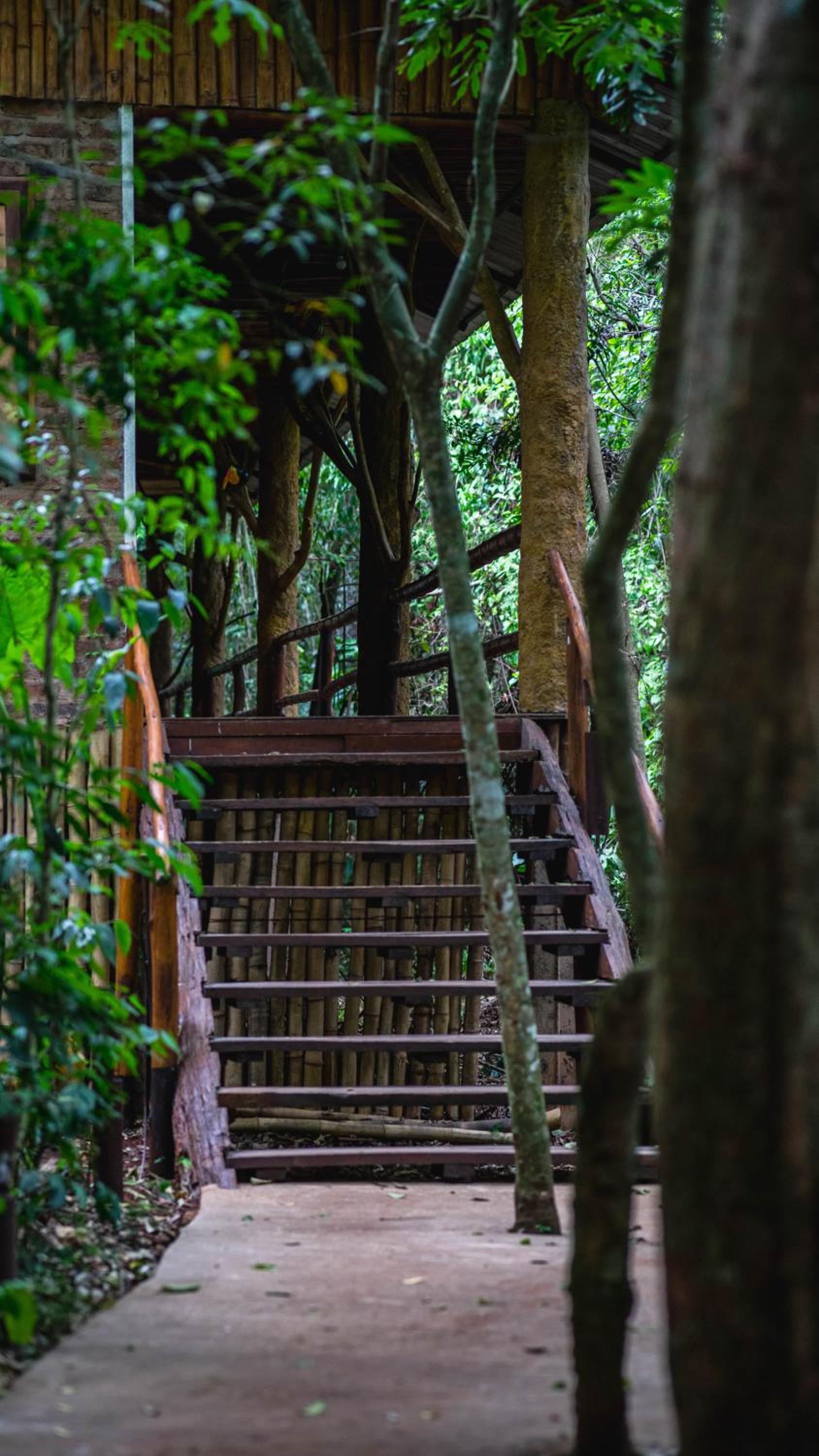 La Aldea De La Selva Lodge