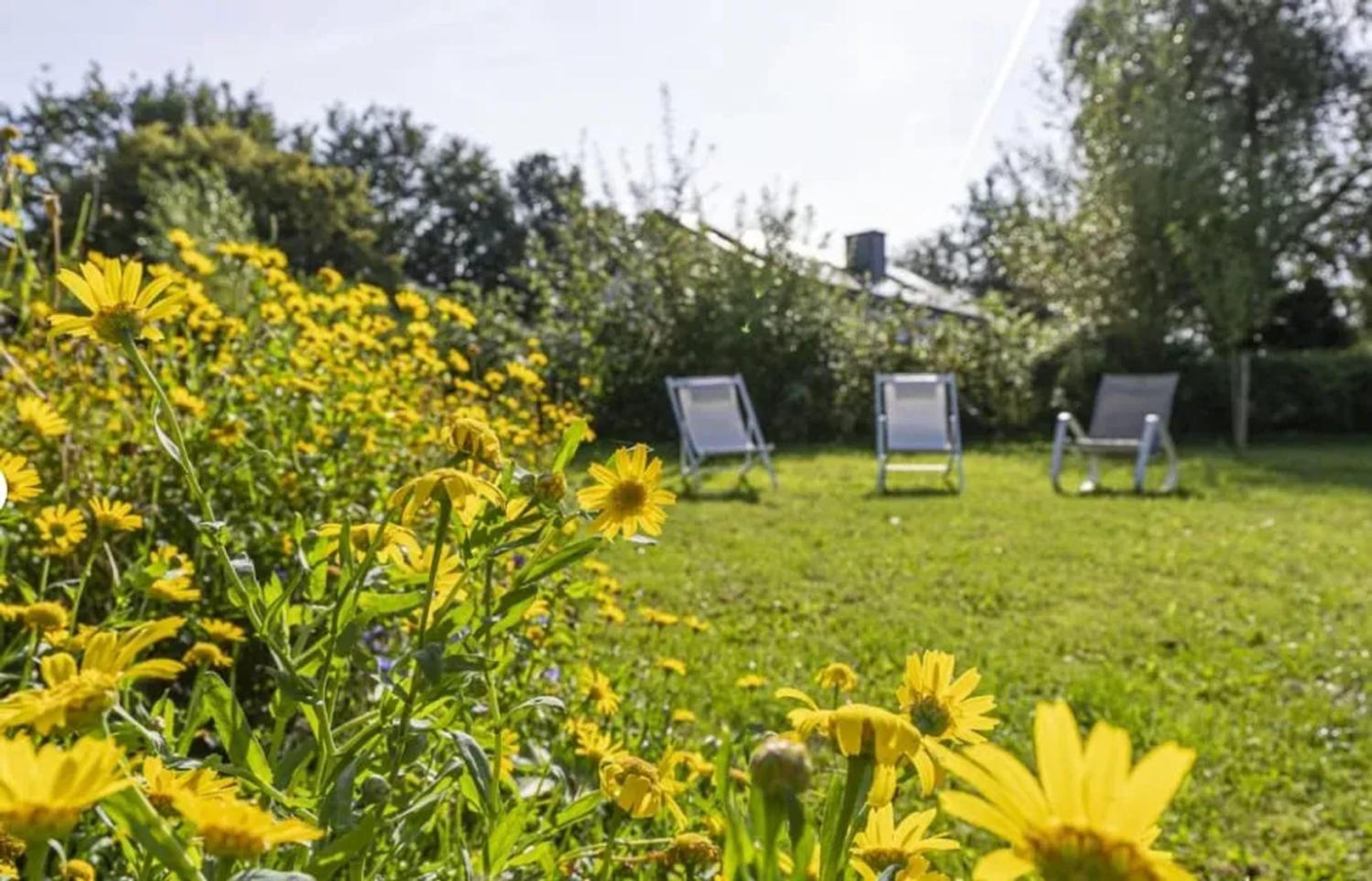 House with garden in Leglise Terrace and Wi Fi