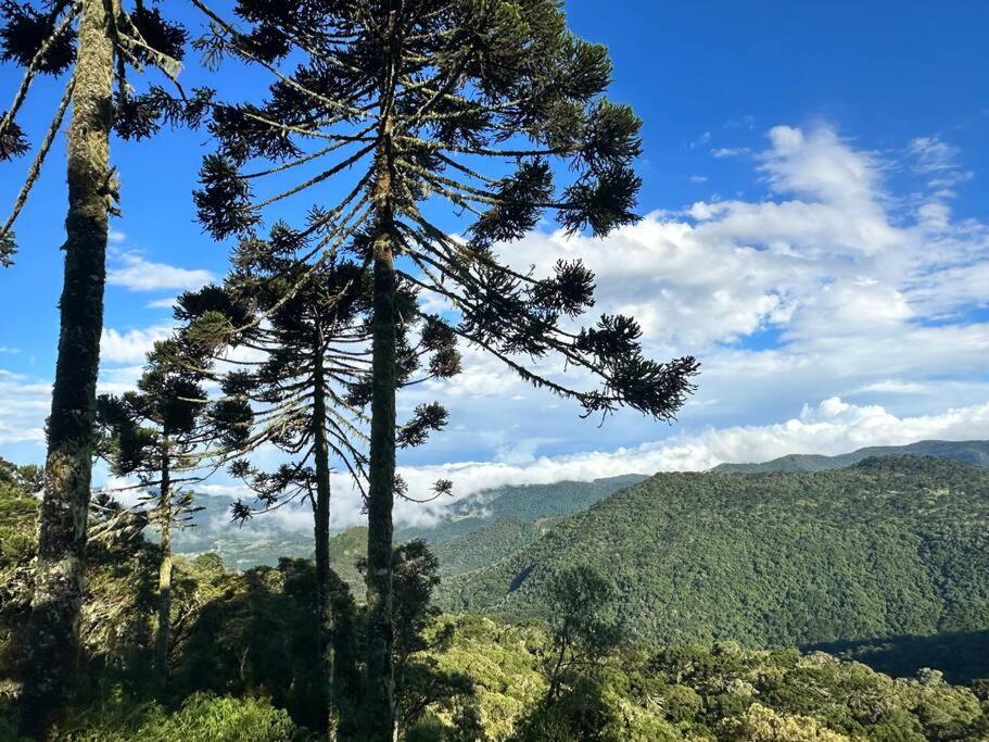 Cabanas e Chalés De luxo Black BIRD Morro da Igreja com Banheira de hidromassagem