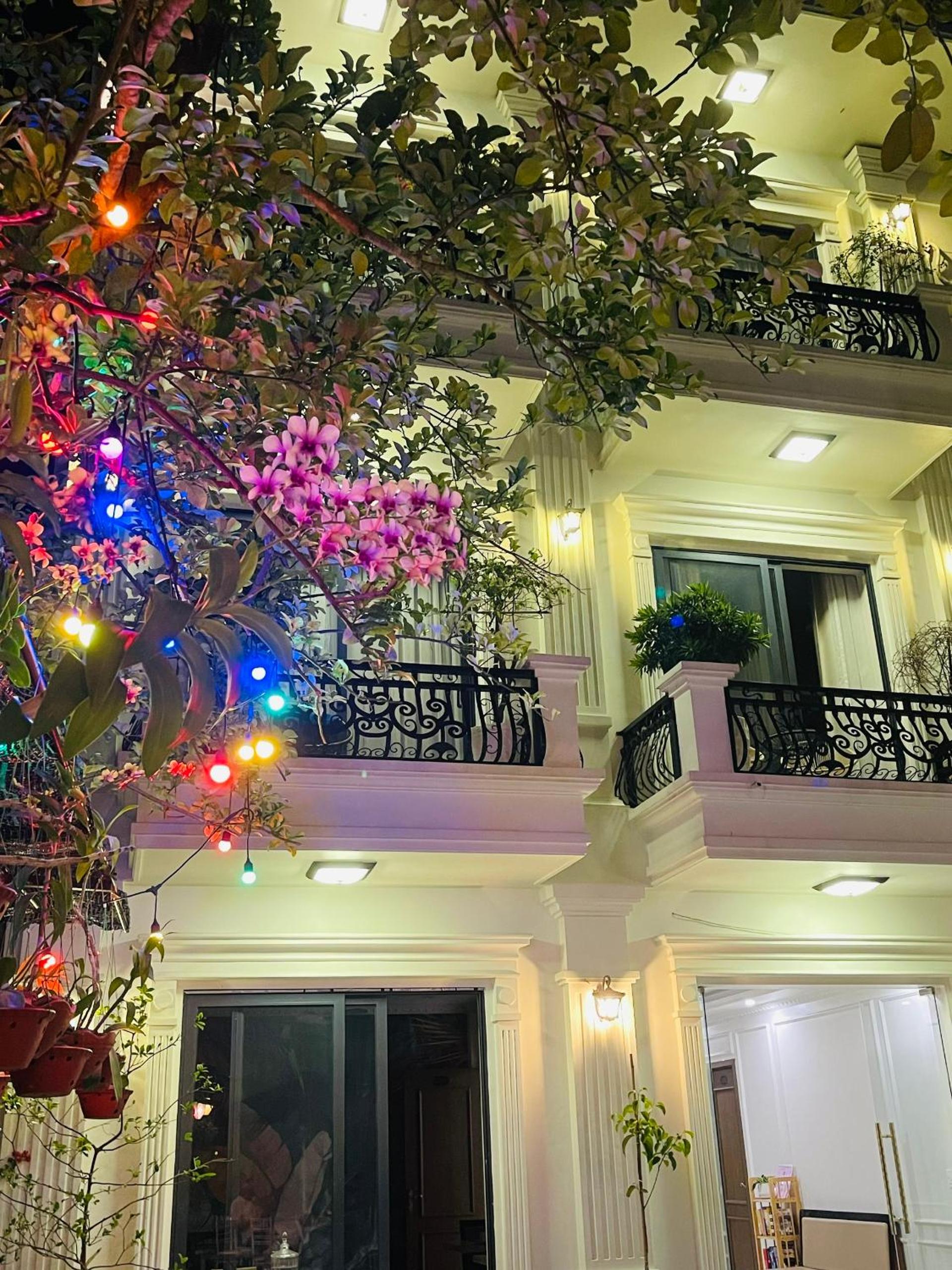Lynh's Villa