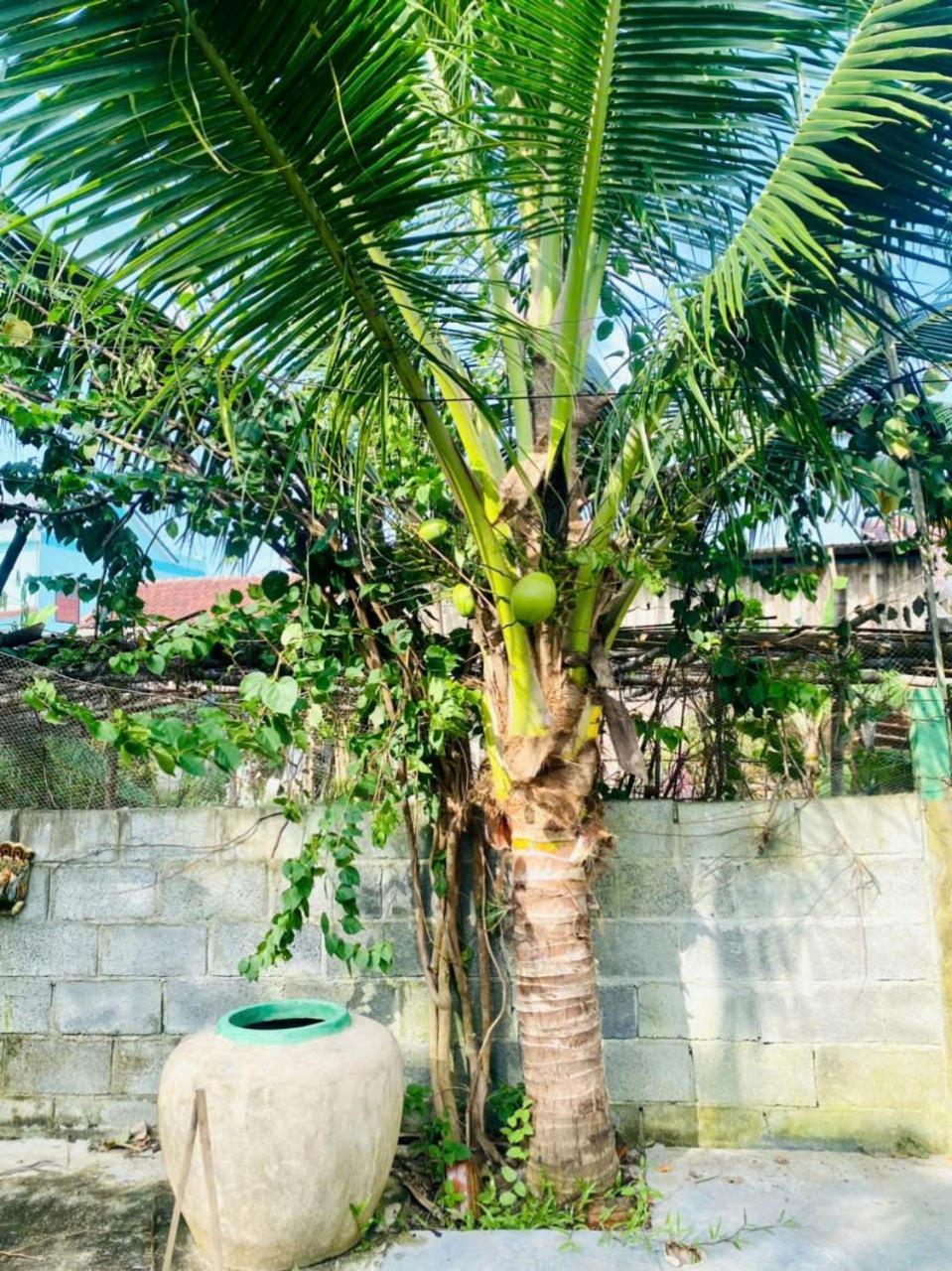 ROMITTO RIVERSIDE in HOI AN POOL PRIVATED VILLA view 3