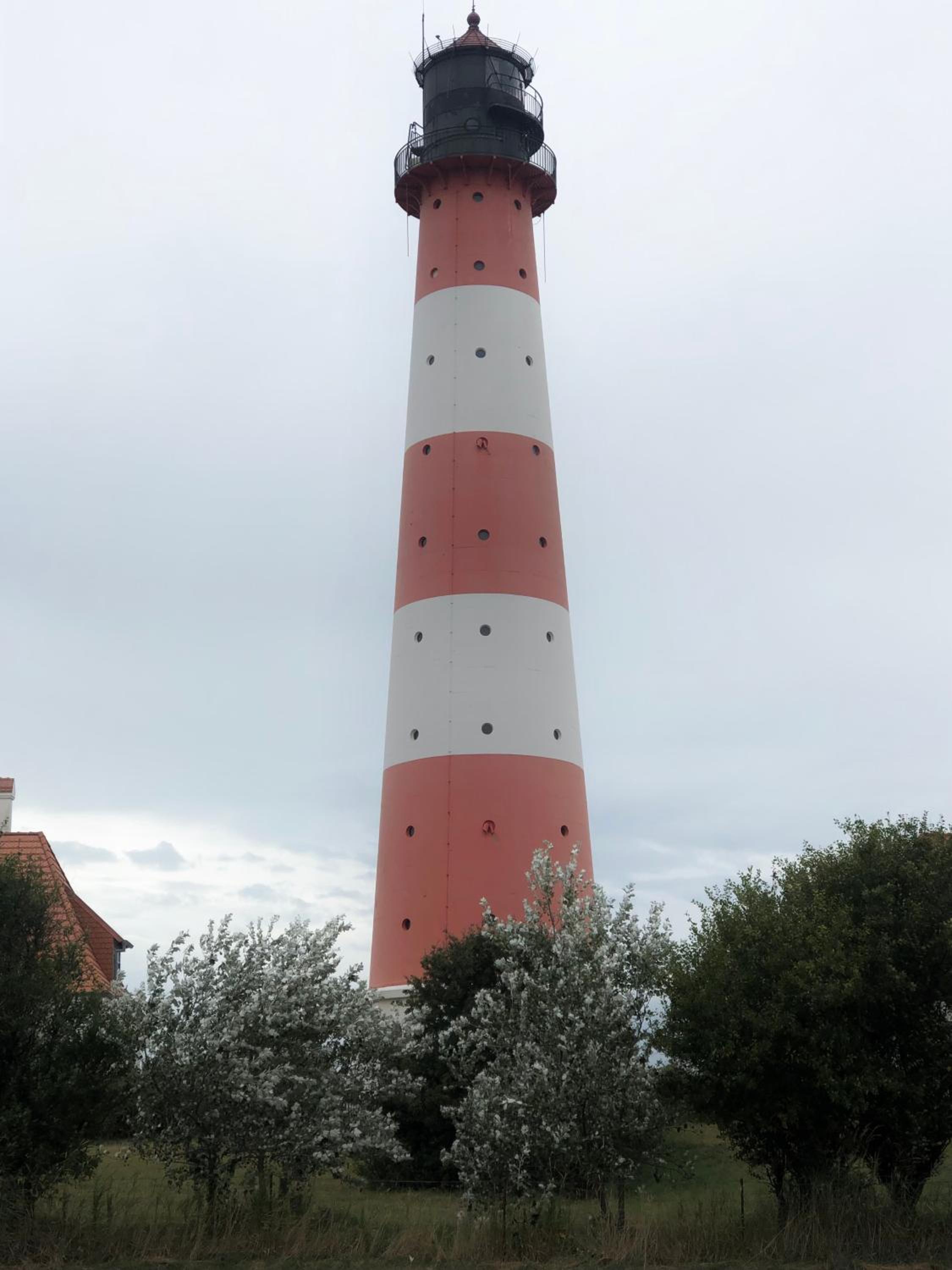 Ferienwohnung Wattlöwe