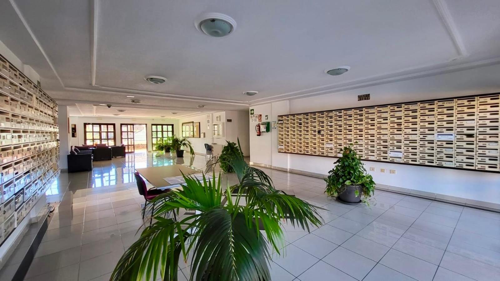 Ocean View Tenerife South Coast photo 3