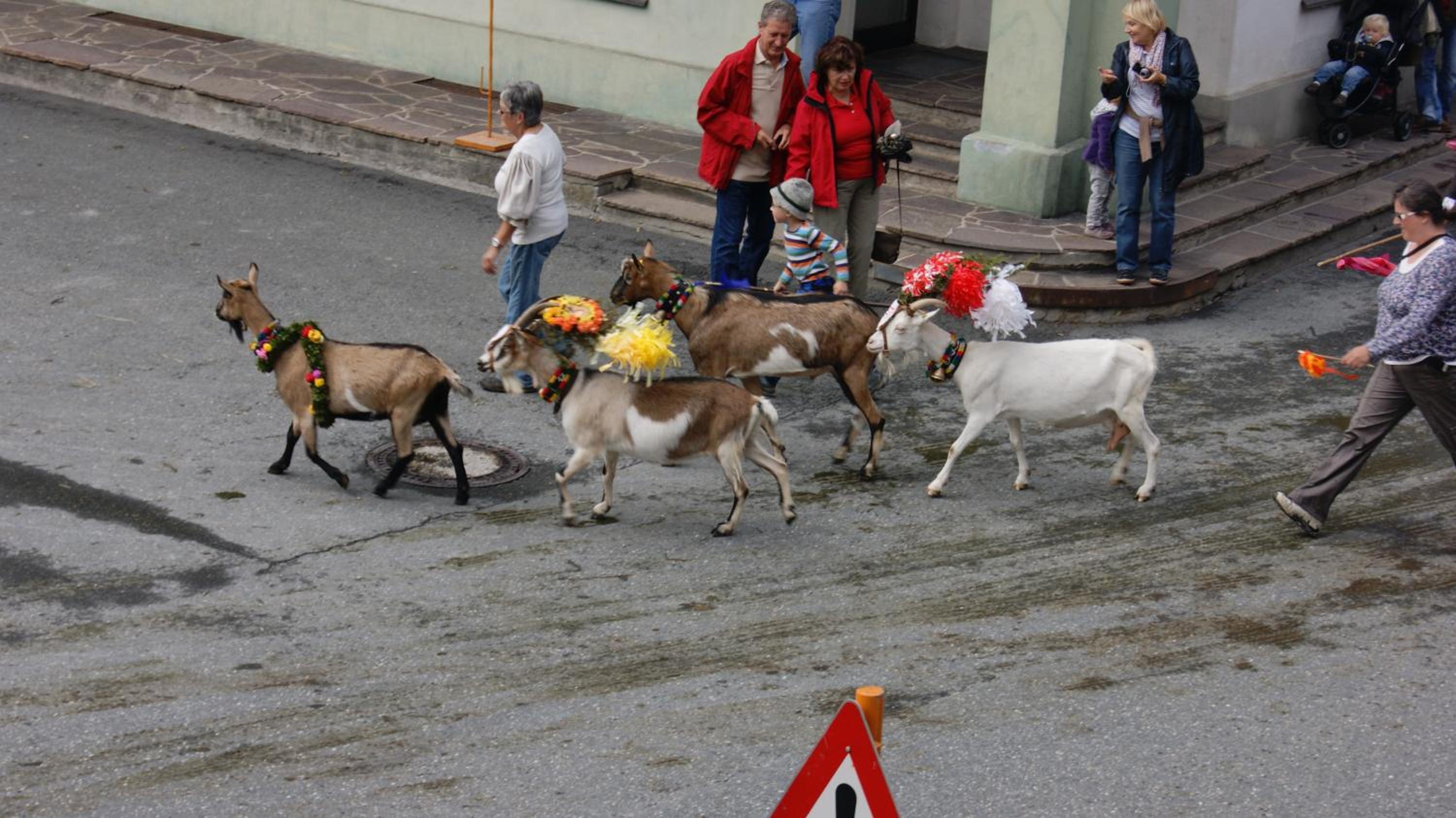 Photo 30