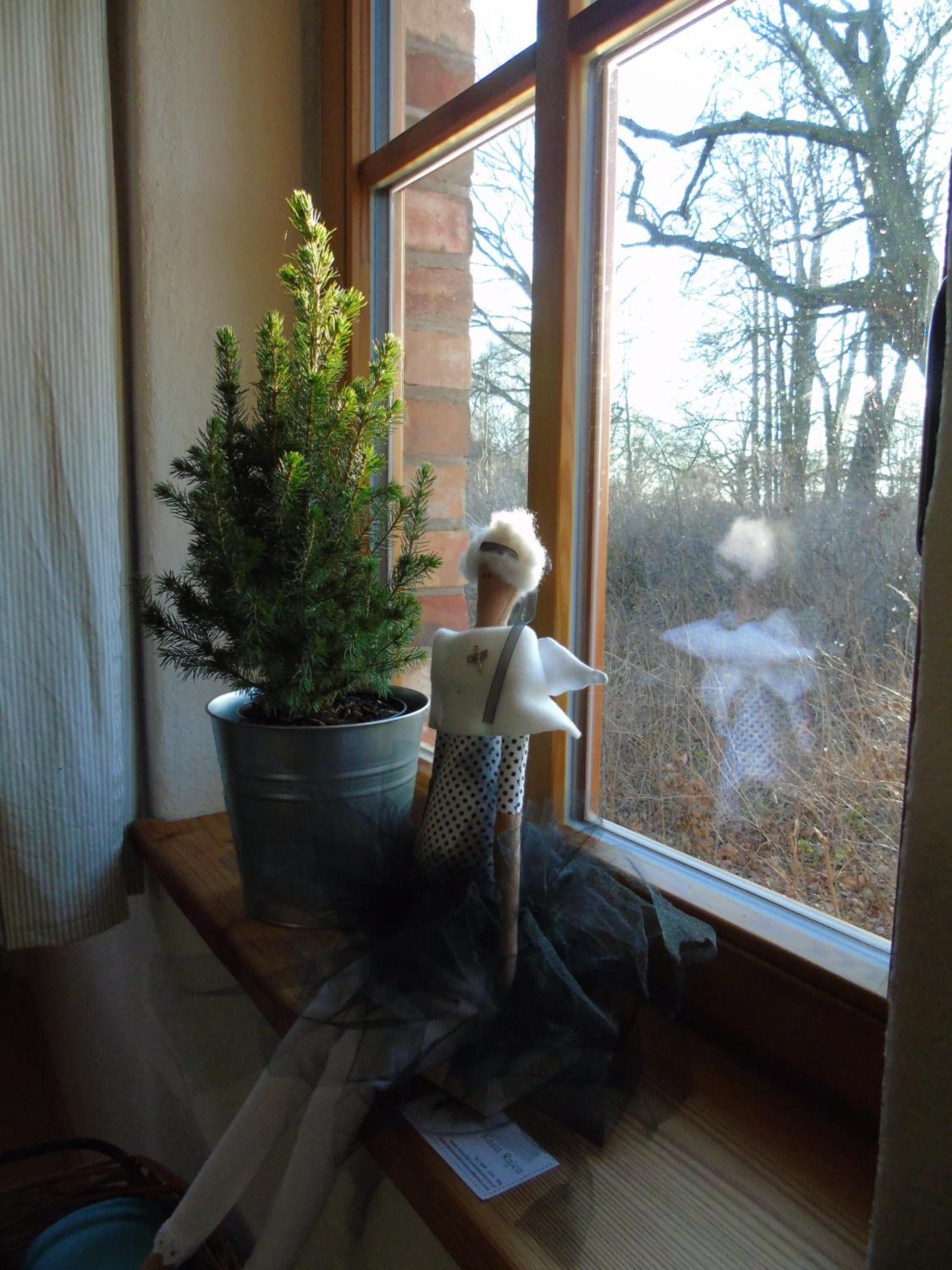 Photo 46