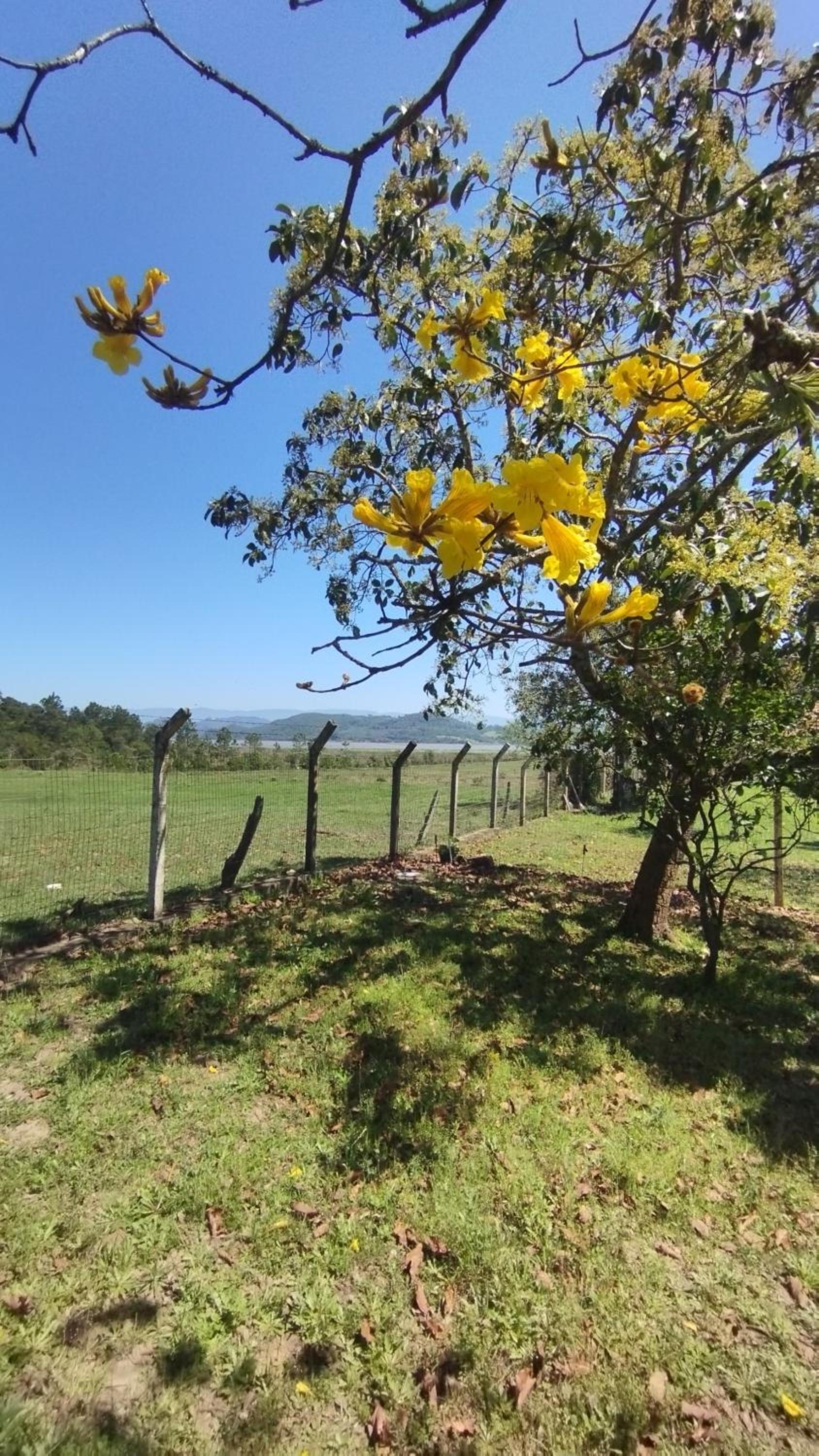 Sítio em Torres com Piscina e vista para Lagoa da Itapeva - Sítio Éden