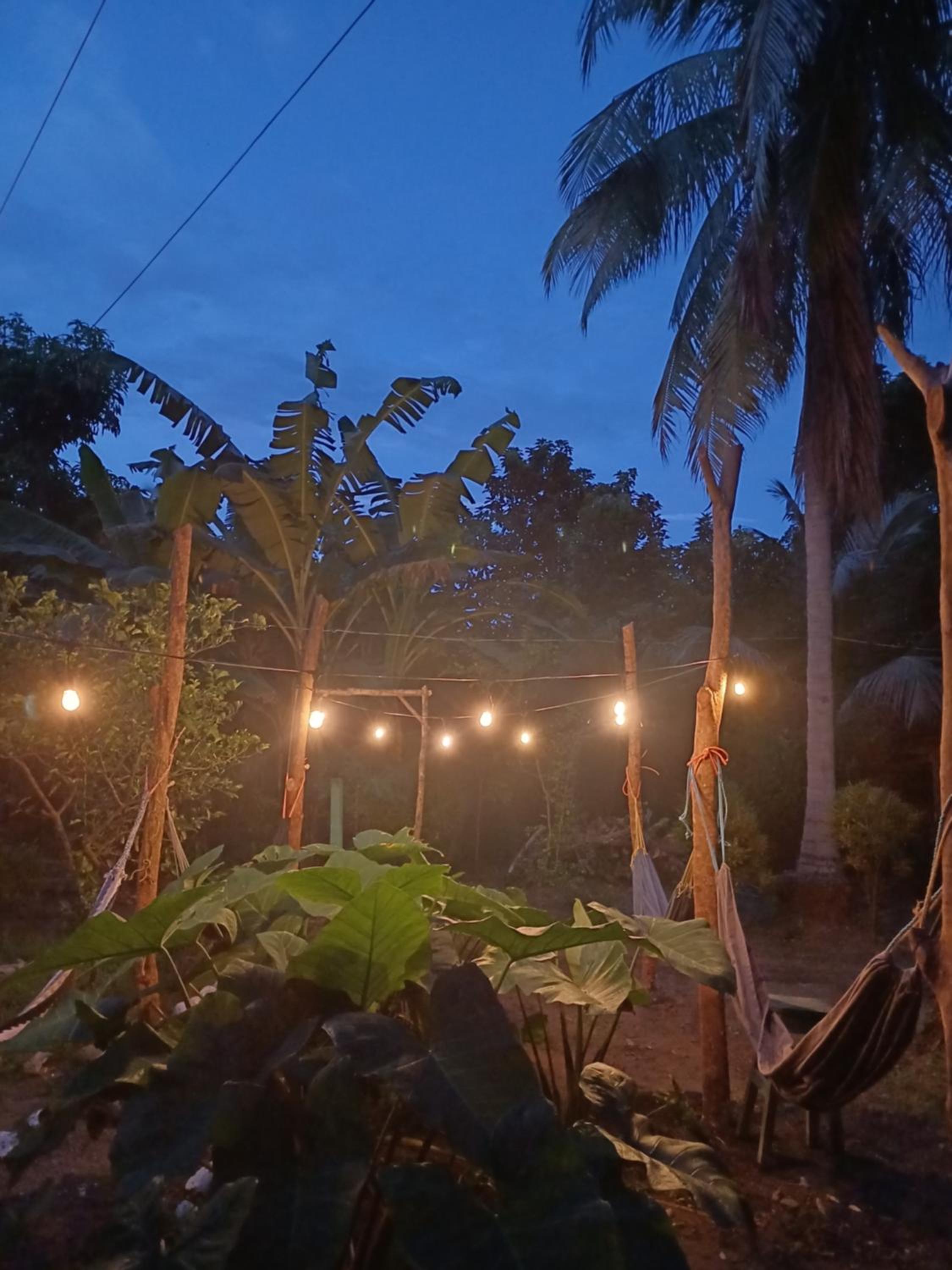 Cabañas Dilany