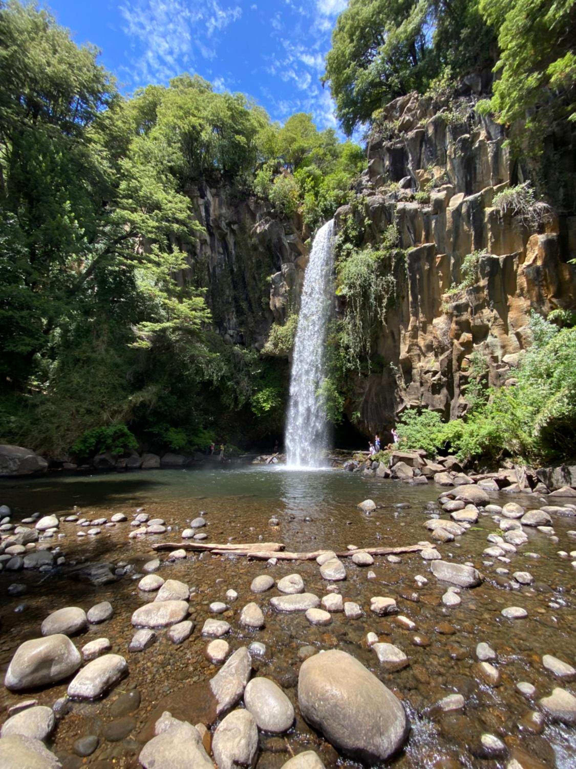 Cabaña en Malalcahuello