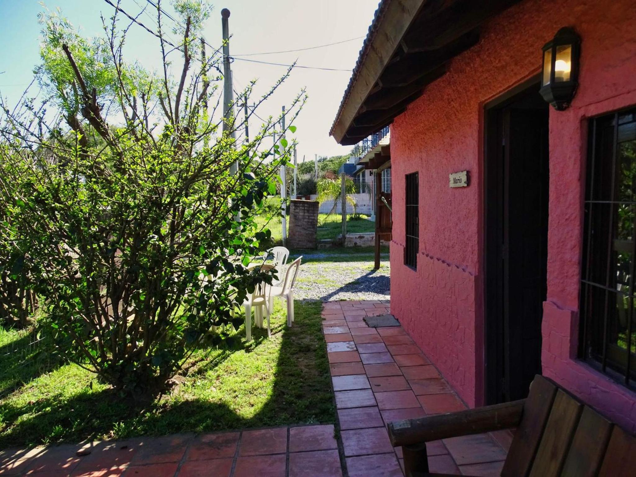 Photo 19
