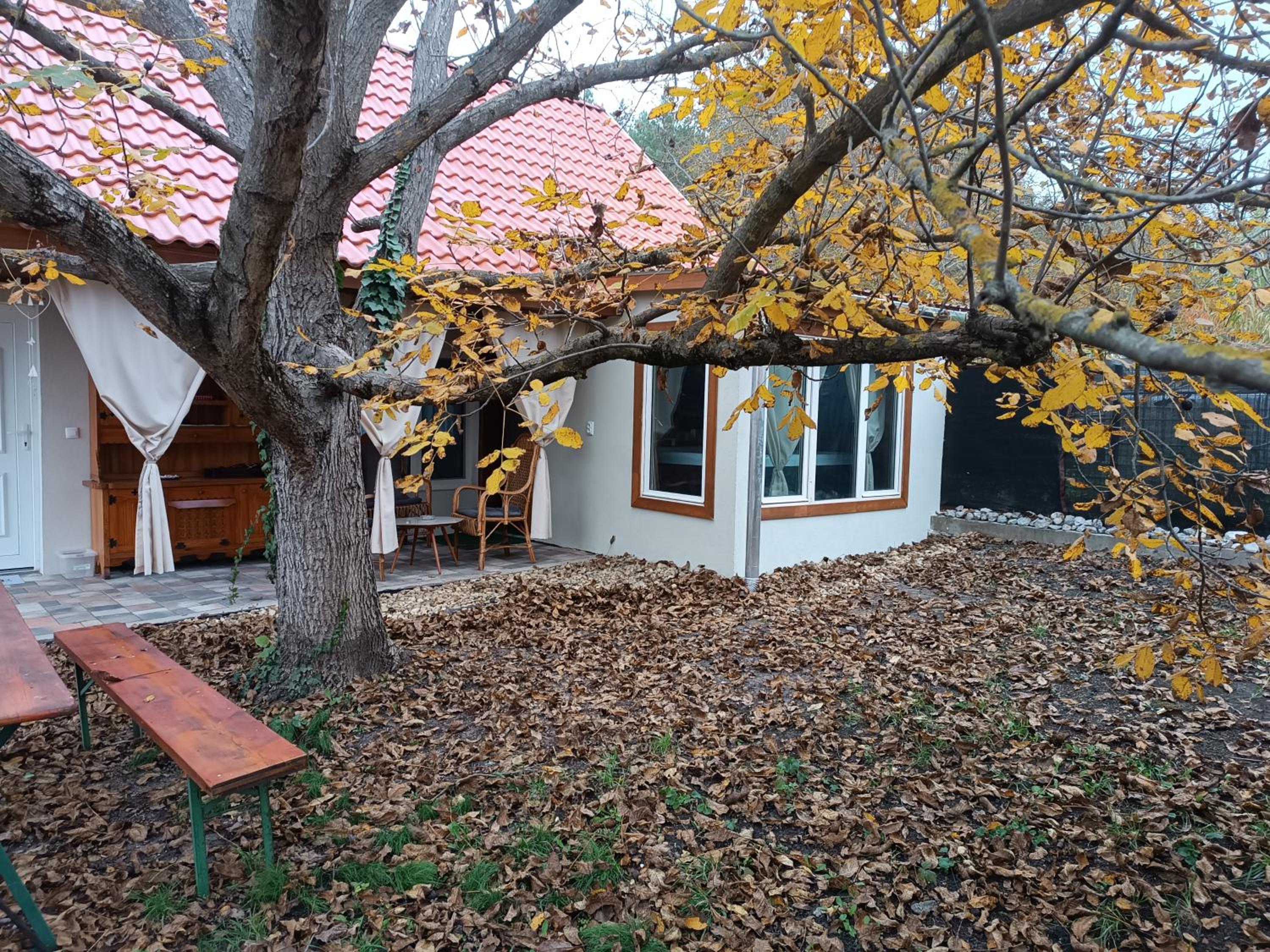 Eco-Wood Home