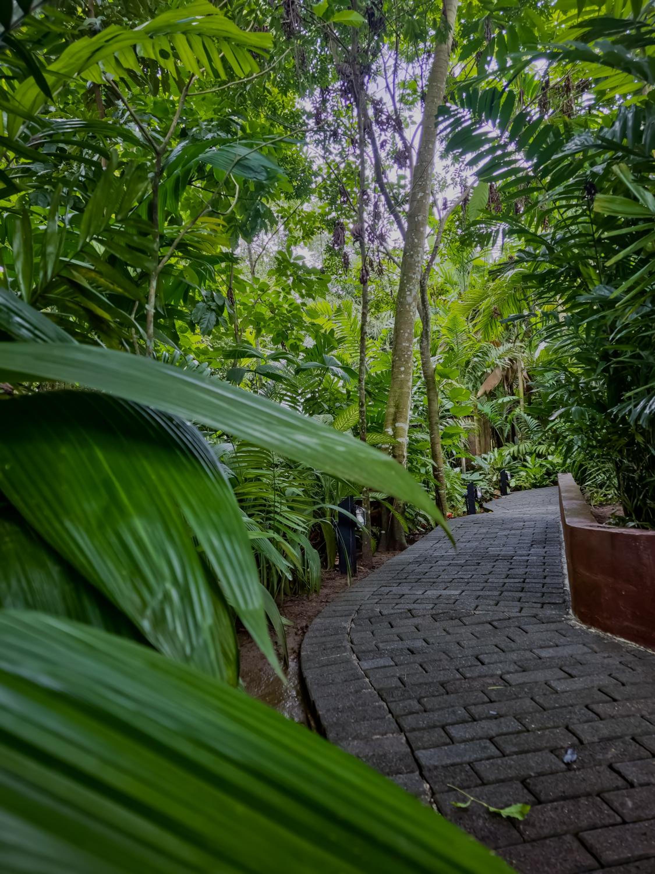 Secret Bungalows Lechu