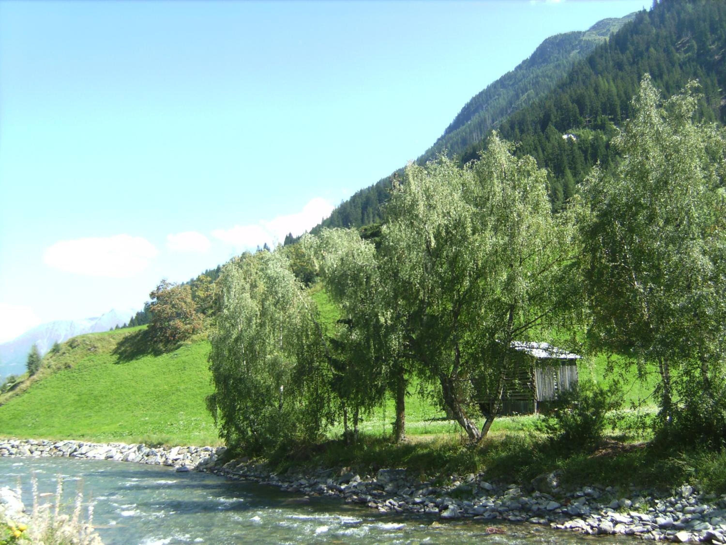 Photo 28