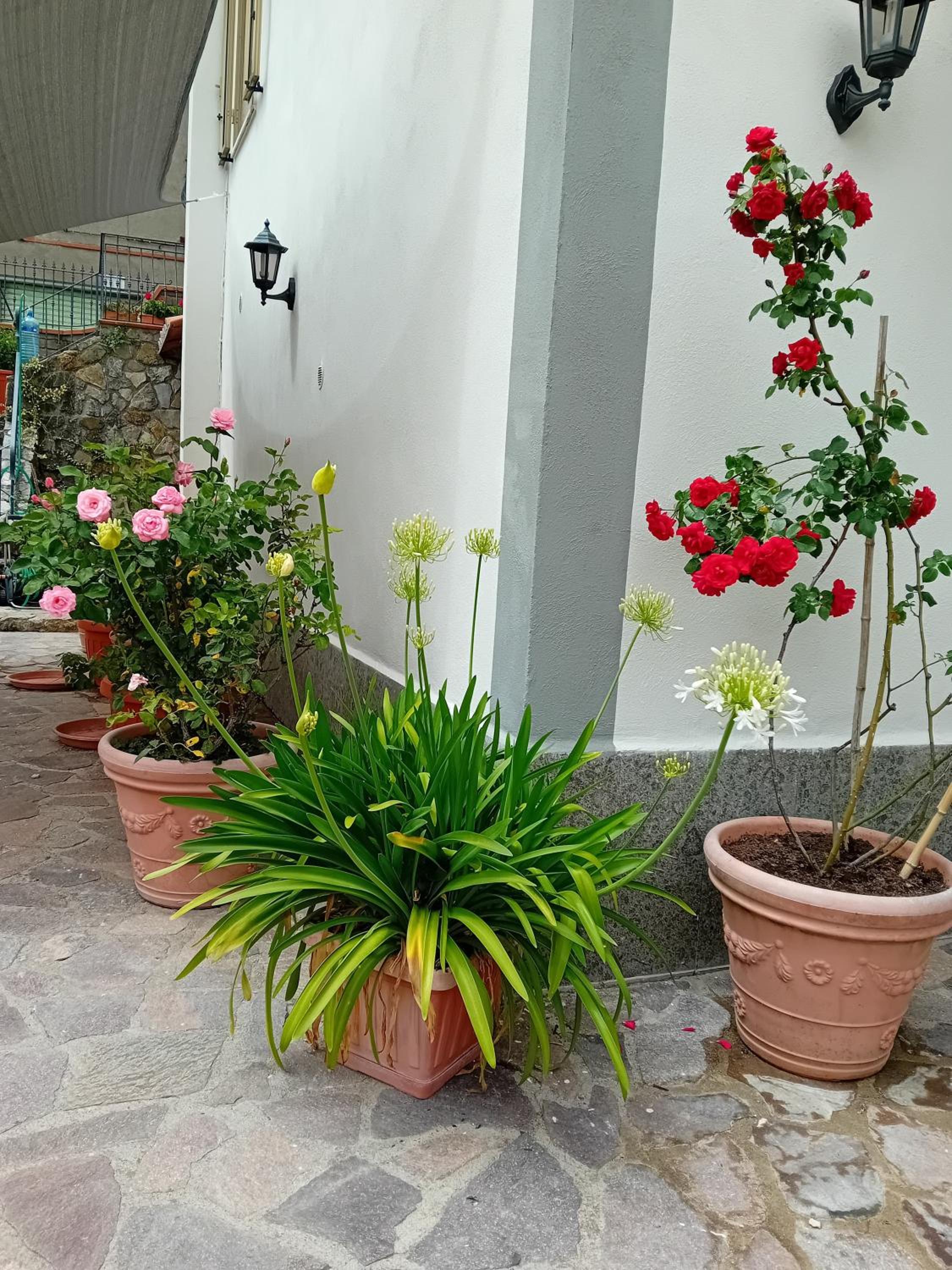Appartamento Casa Rita - Sorano view 5
