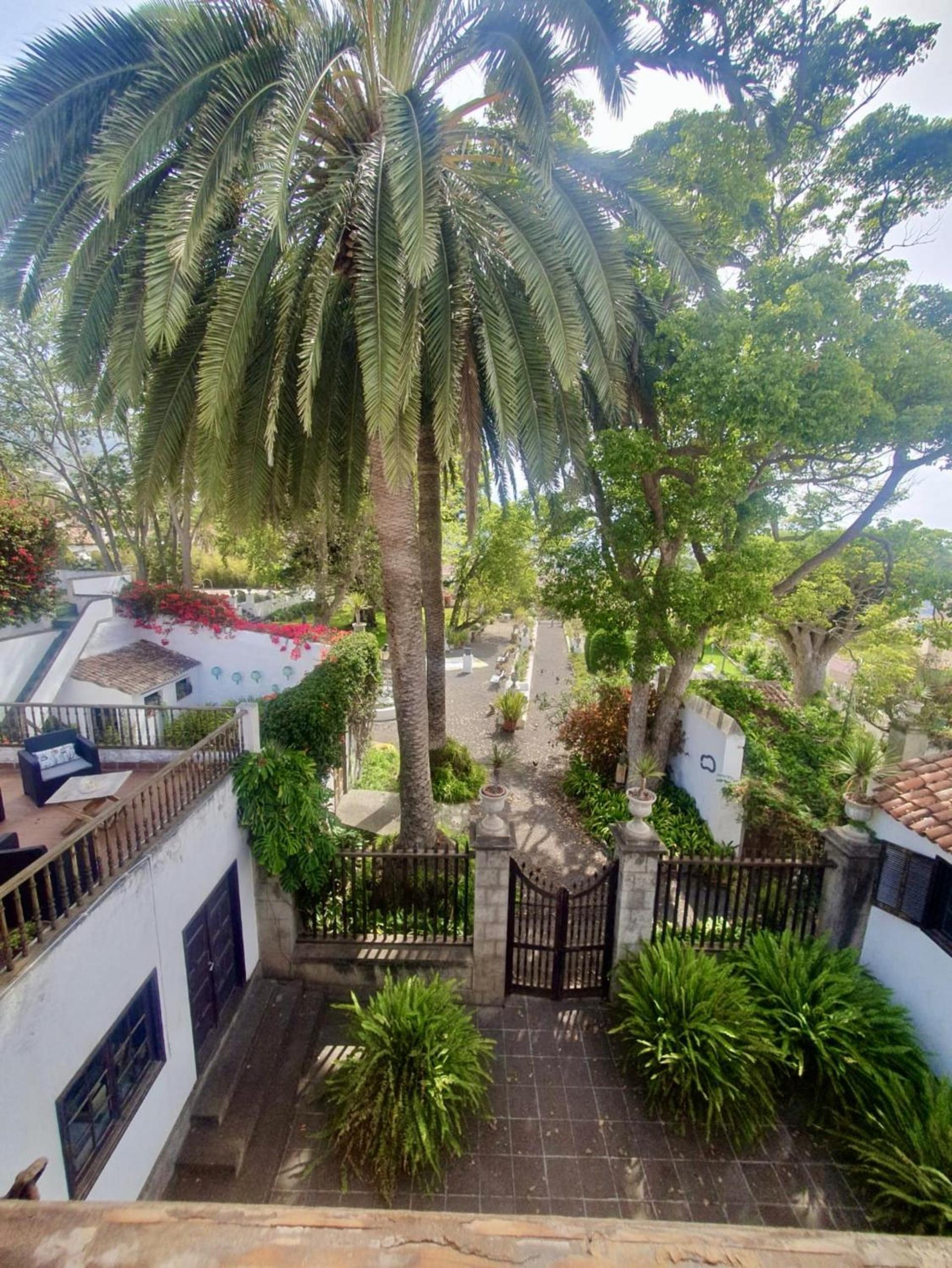 Apartamento con Arte en La Orotava