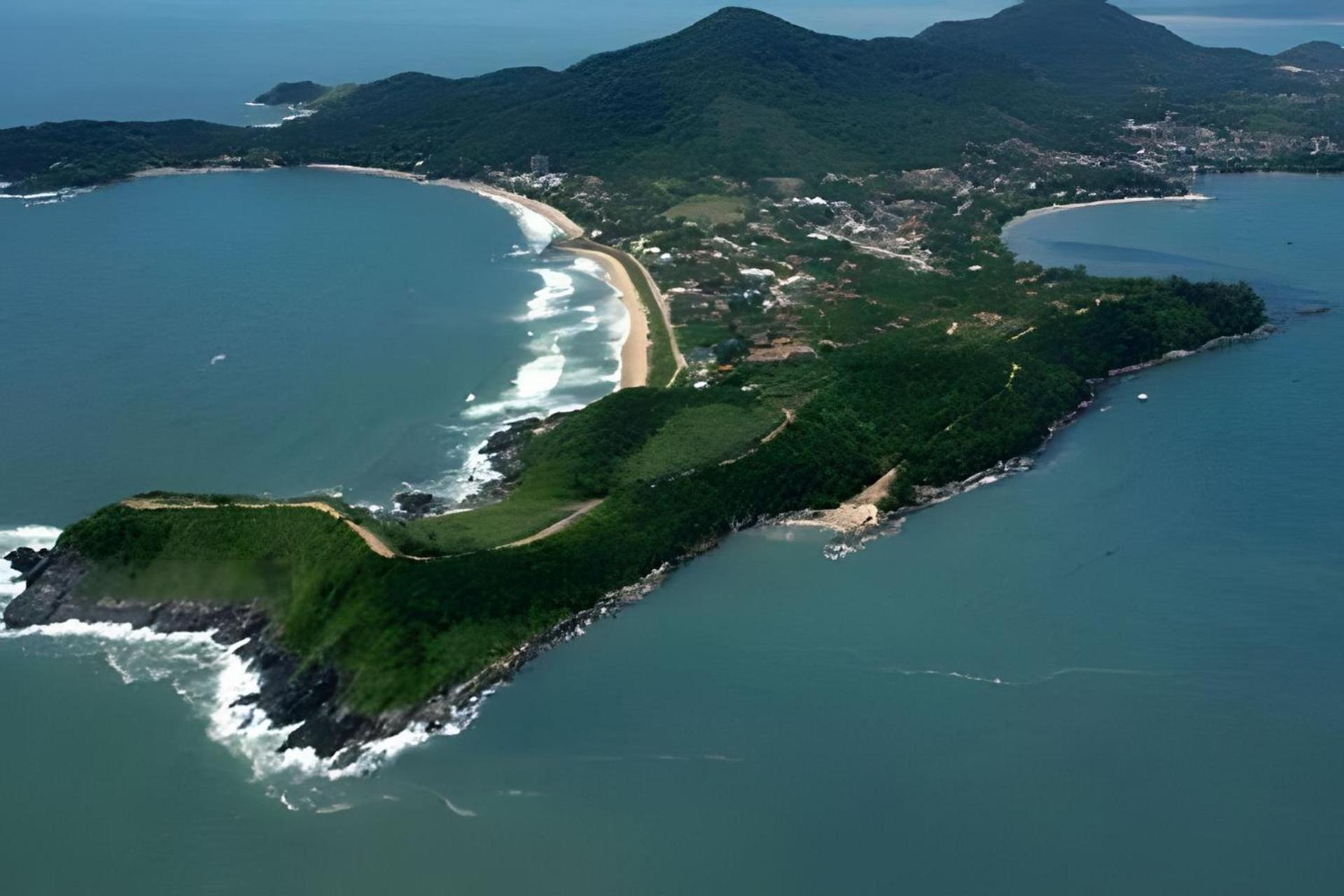 Studios: Estrela do Mar e Baleia Cachalote