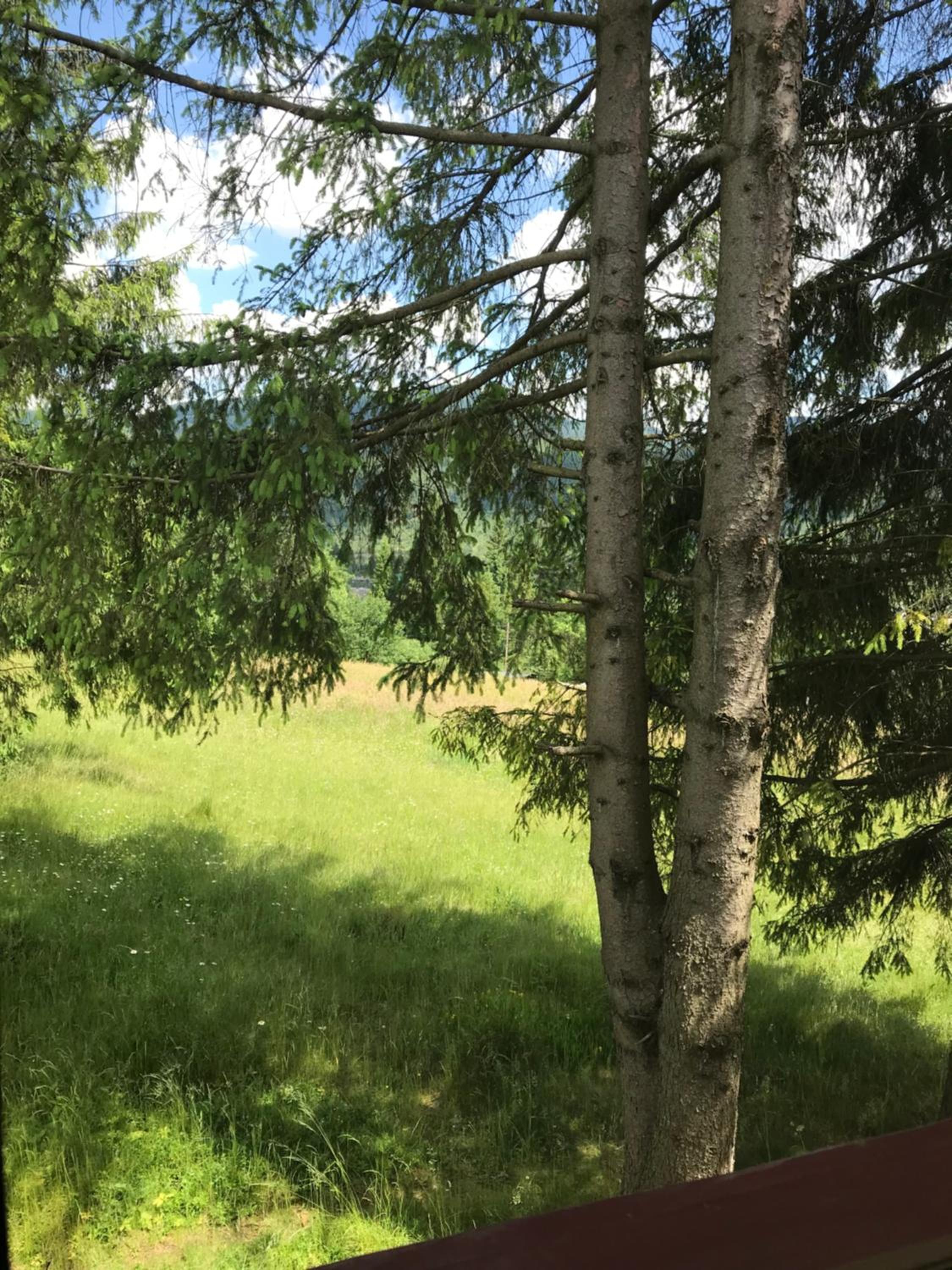 Photo 46