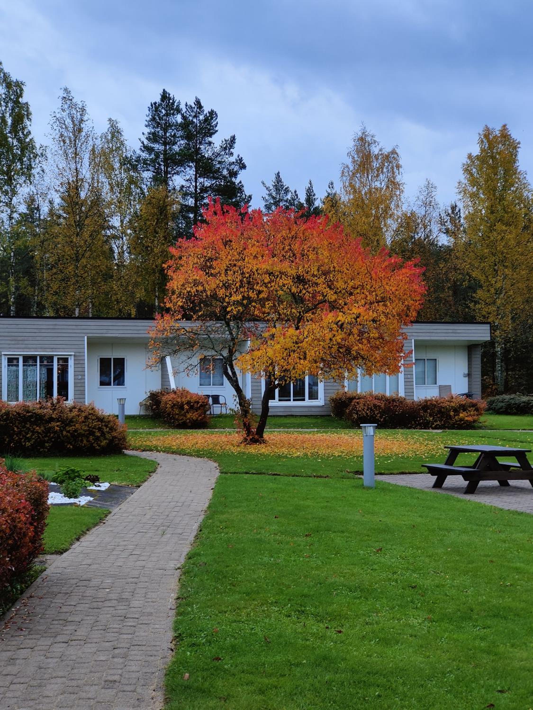 Photo 25