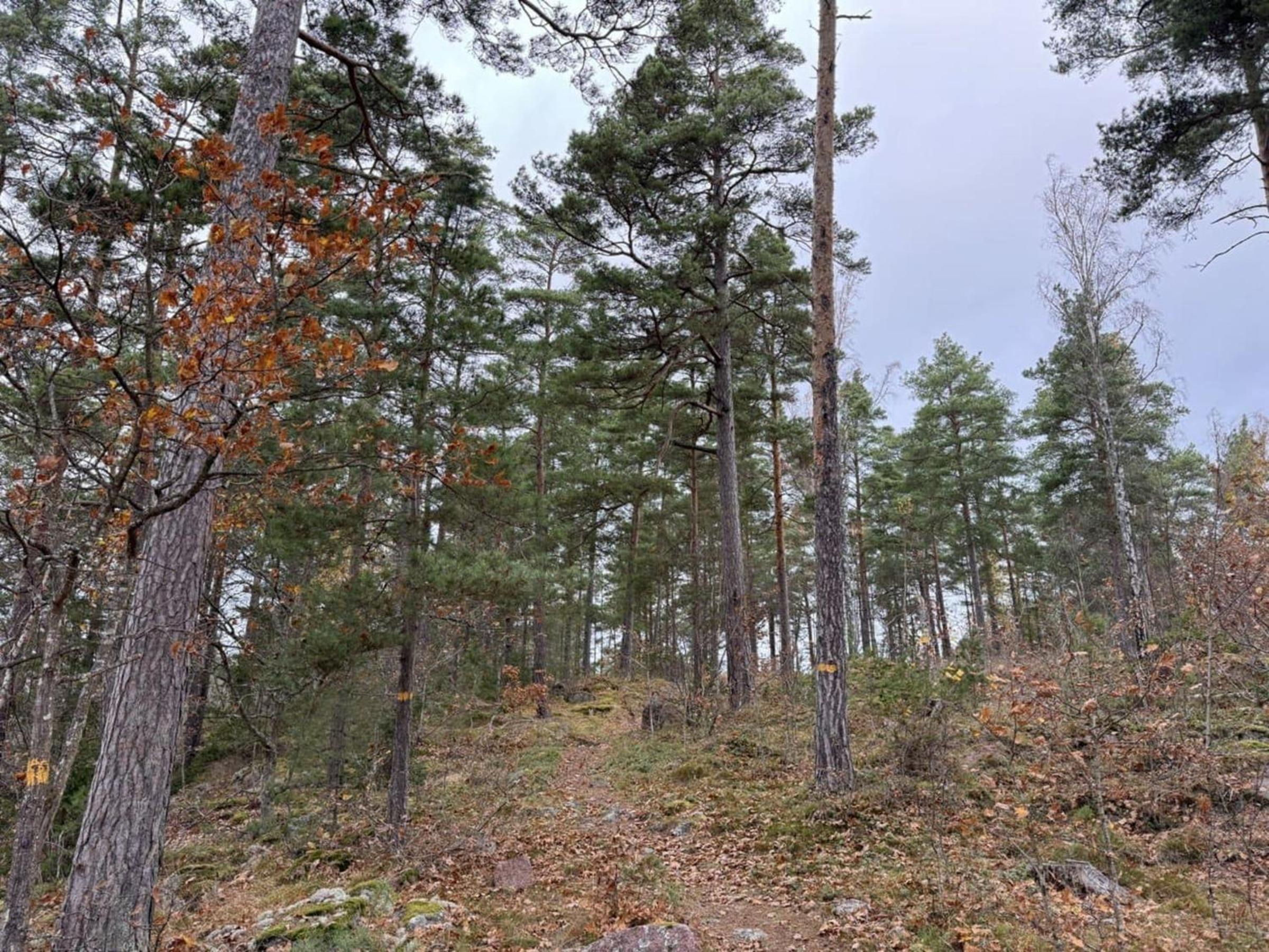 Härberget