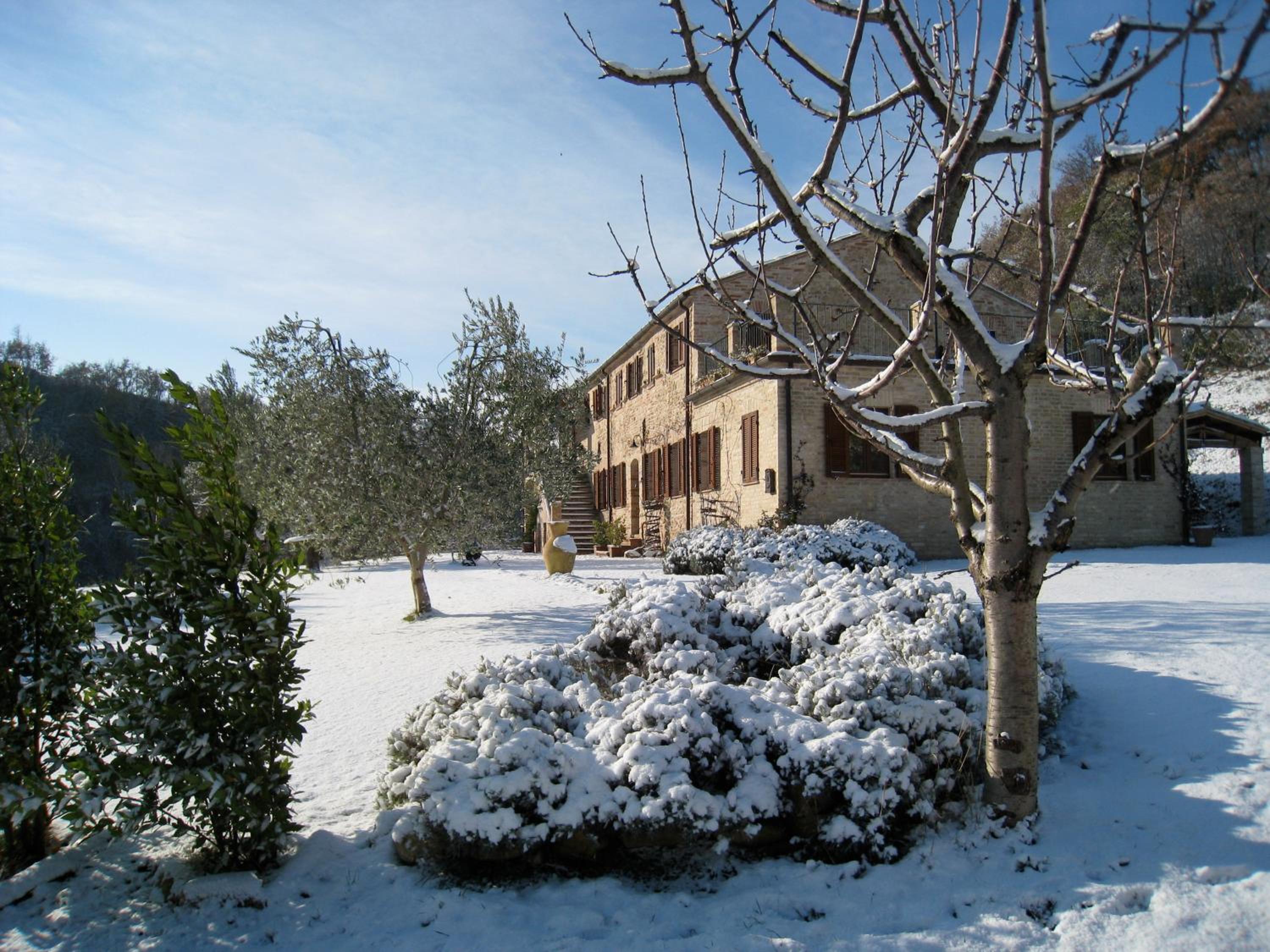Photo 15