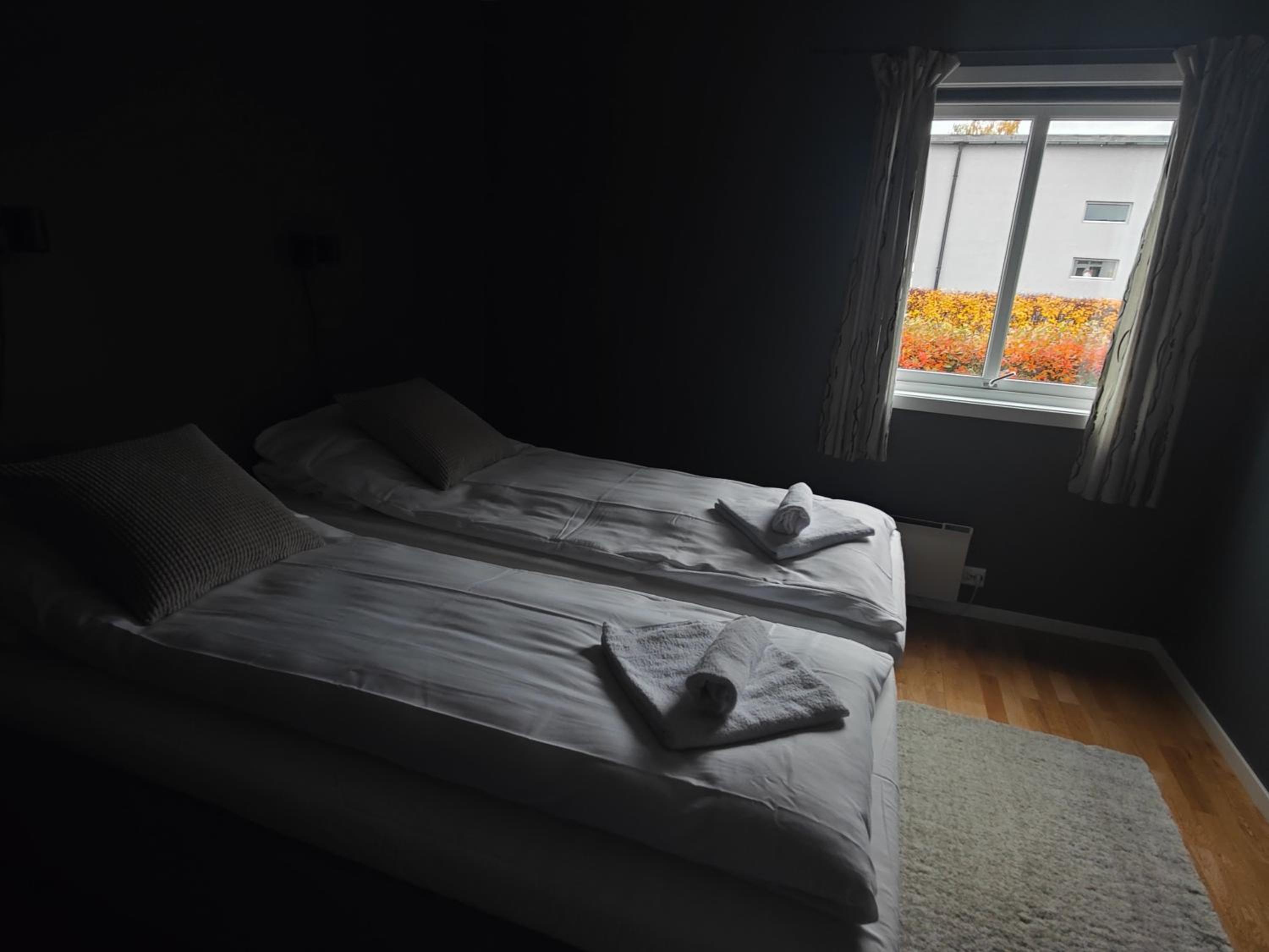 Photo 46