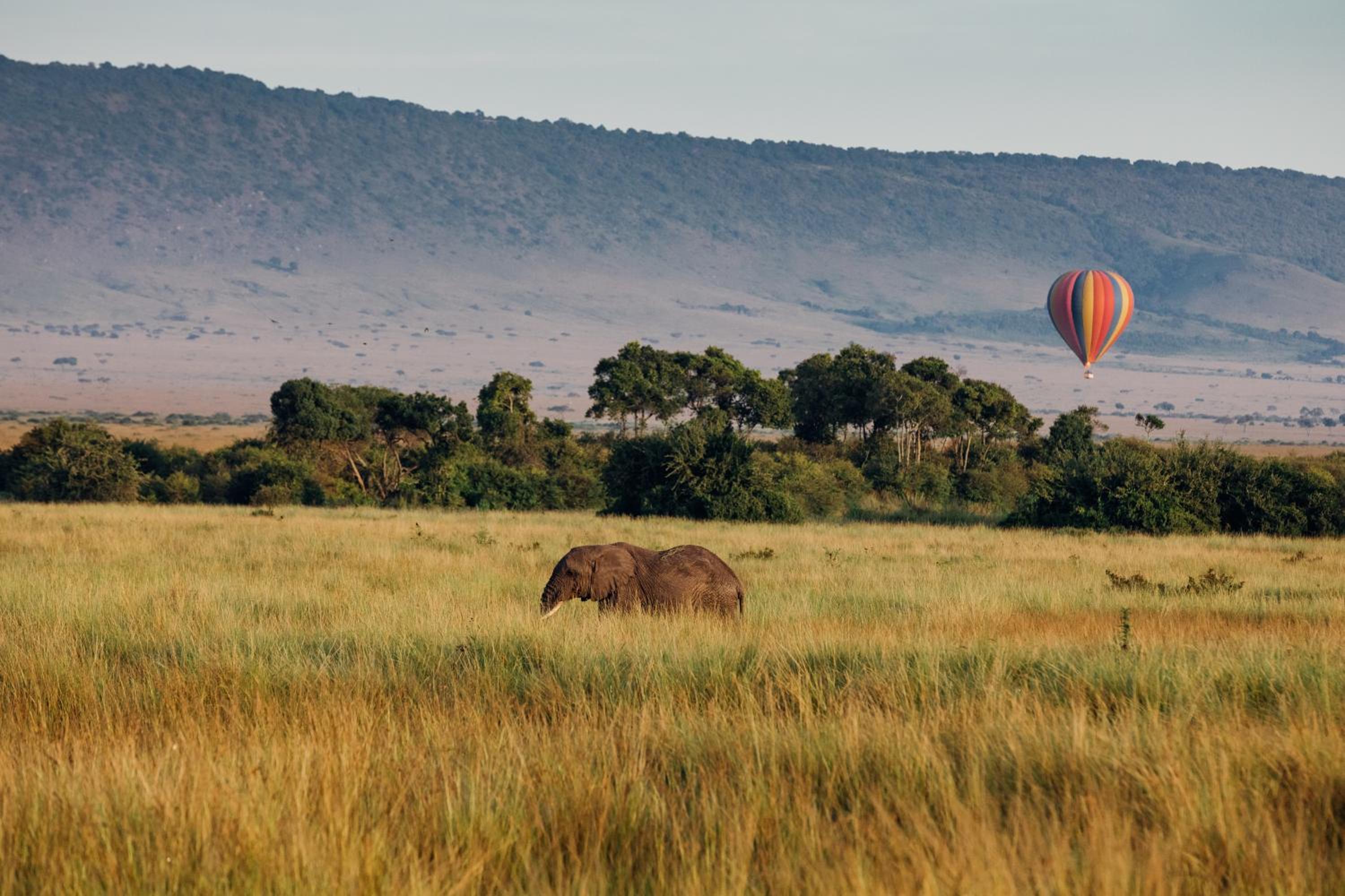 Villa Kudu - Exclusive and Serviced Safari Villa near Kruger Park view 3