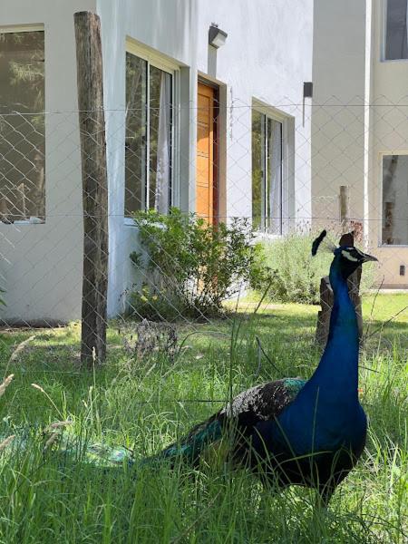 Posada Casa del Sol