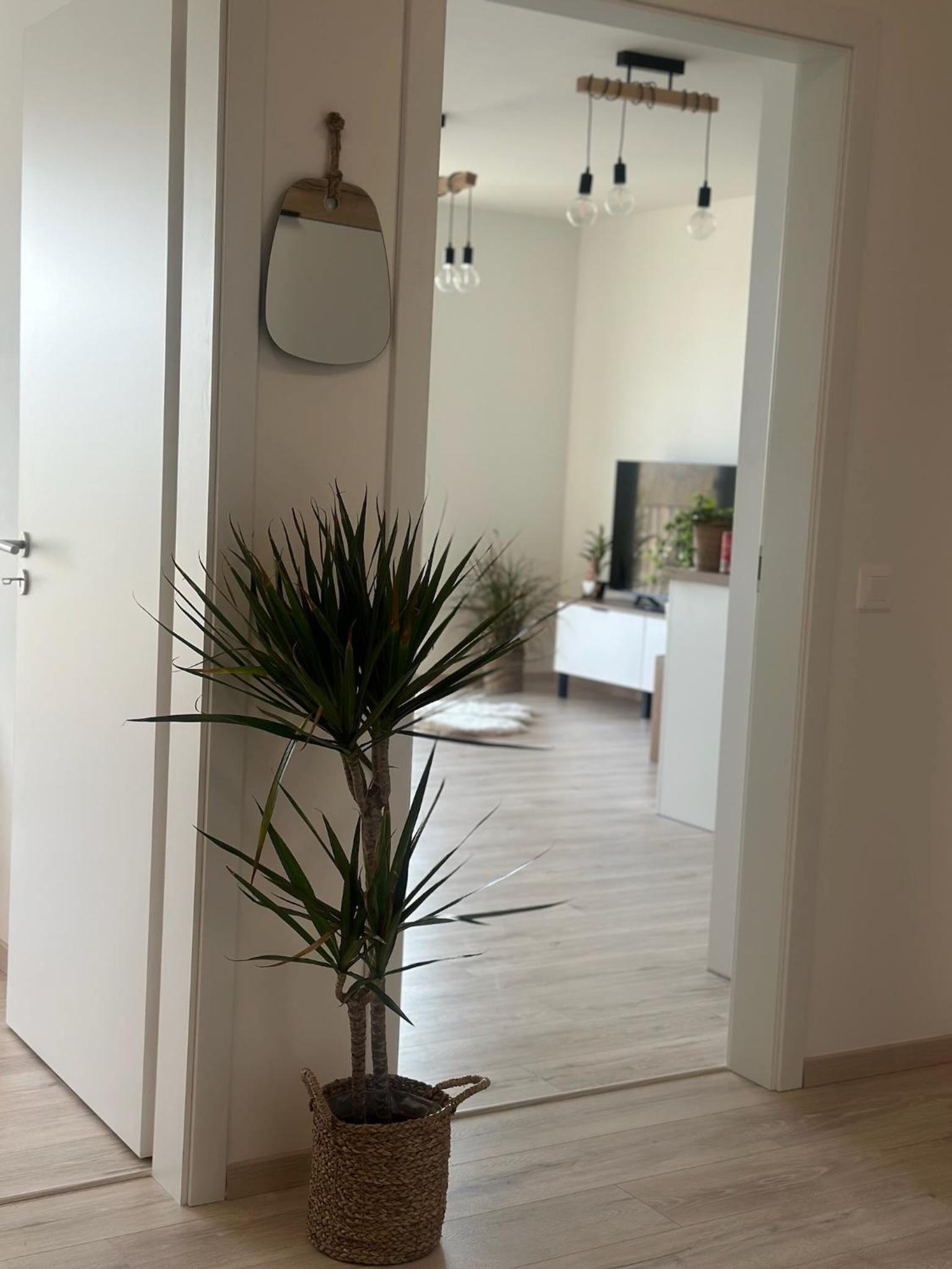 BNB New Luxury Apartment in the Center with optional parking