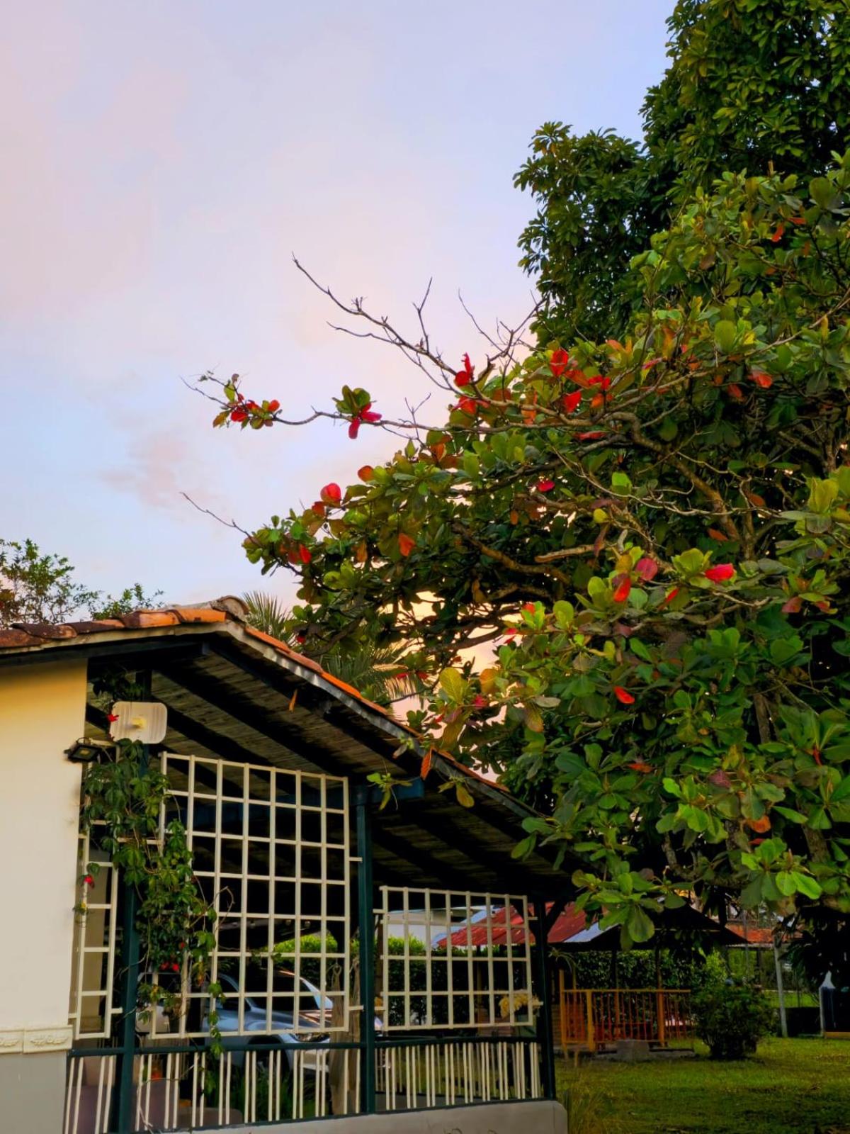 Finca Turistica Completa Tierra Nueva, a 5m del Parque Arrieros y 20m del Parque del Cafe y Panaca conectate con la naturaleza y disfruta de un lugar unico